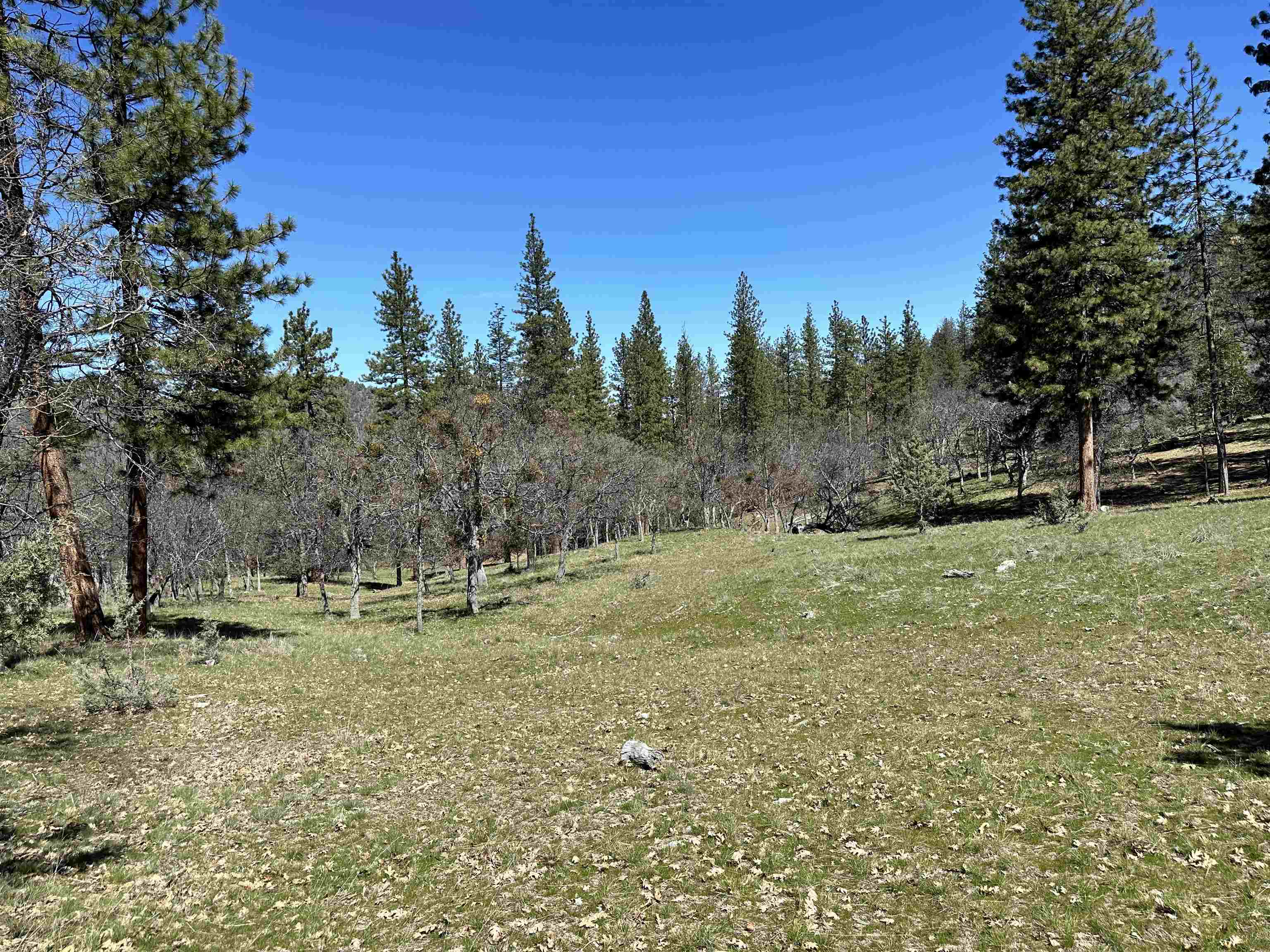 7226 Schulmeyer Gulch RD