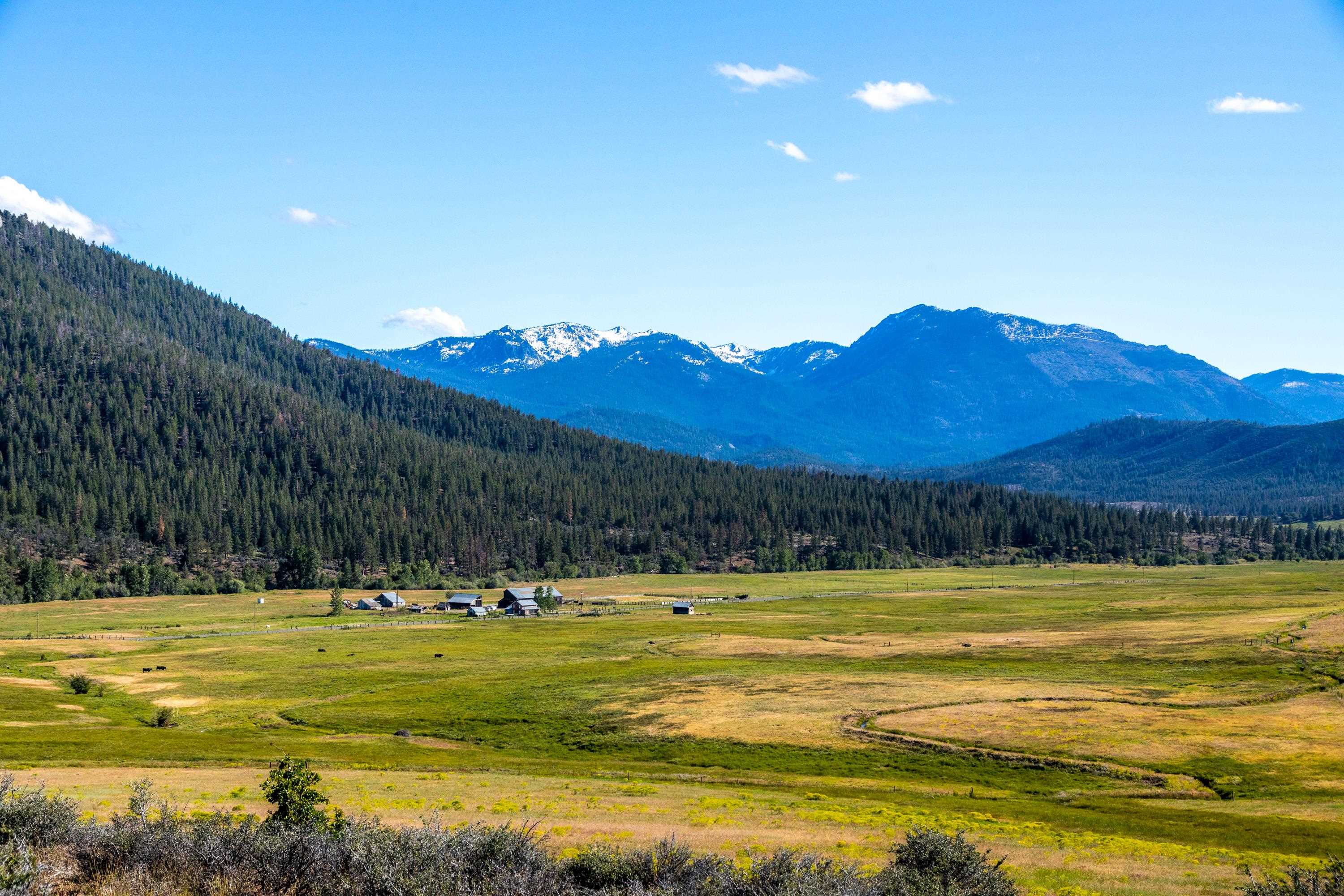 Located in scenic, rural western Siskiyou County, CA, lies the sprawling 14,000 acre AP Ranch, steeped in history. This historic ranch offers a unique opportunity to own a piece of the American West, where ranching traditions thrive amidst vast, open landscapes. The ranch's diverse topography is dominated by the iconic Lover's Leap. Elevations on the ranch range from 3,600 ft. to 5,400 ft., with nearby peaks soaring above 8,000 ft. The property also encompasses the headwaters of the East Fork of the Scott River, which flows for eight miles through the center of the ranch. The ranch benefits from adjudicated water rights on the East Fork and its tributaries, as well as rights to water from two nearby alpine lakes Kangaroo and Rock Fence. This water irrigates approximately 1,400 acres of pasture that support livestock grazing.    AP Ranch has operated as a year-round cow-calf operation, with a cattle lease in place and a carrying capacity of approximately 500 mother cows. There are seven homes on the ranch, six of which are in good condition and used by family members and ranch employees. The property also features six large, beautiful, historic barns and various outbuildings.