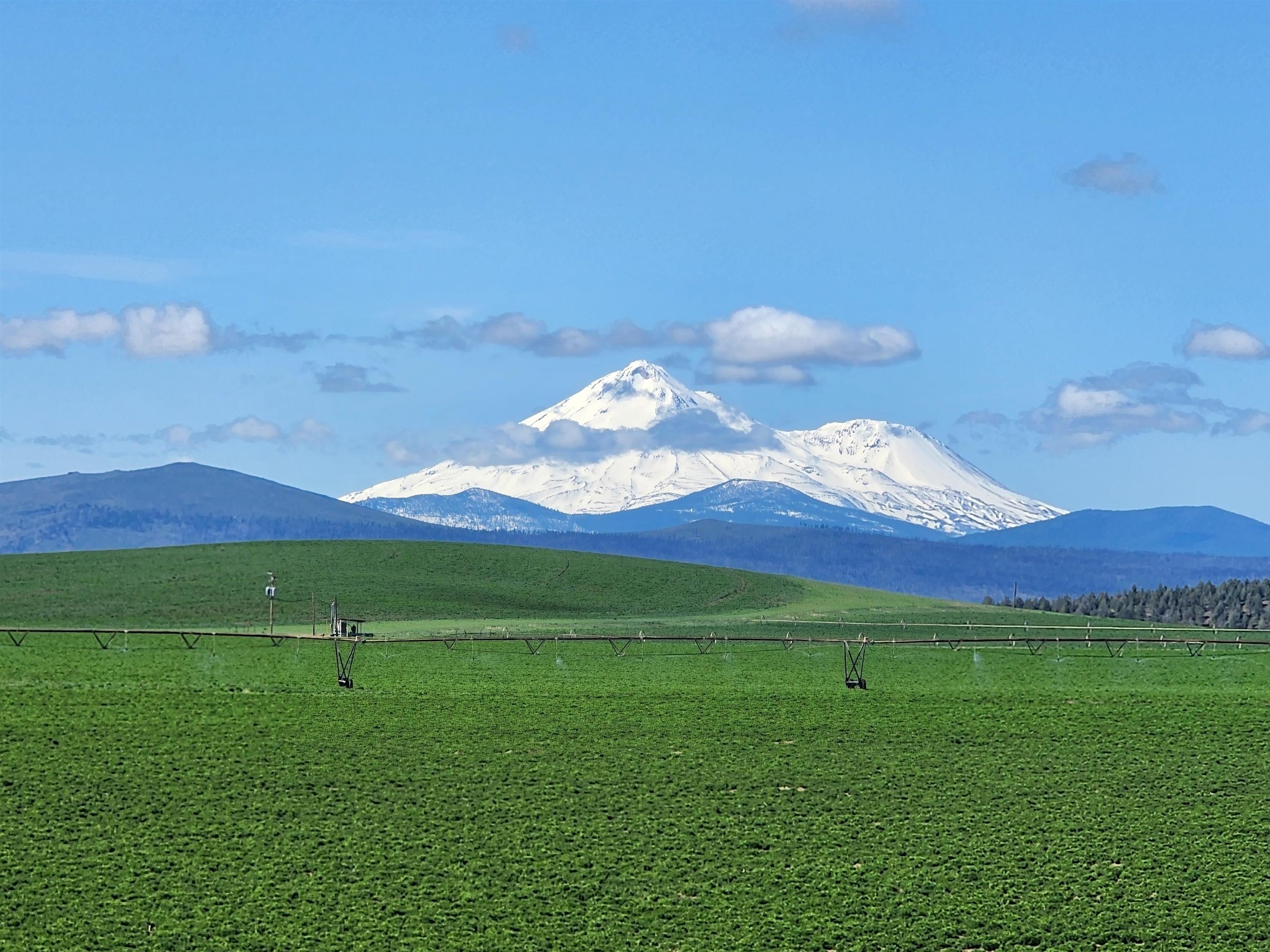 Presenting an extraordinary opportunity to acquire a fully operational, turn-key hay ranch spanning 2,084.56 acres in the heart of Butte Valley, Siskiyou County. This expansive, highly-productive farm features 9 center pivots, multiple wheel line irrigated fields, and a 745-kW solar field, offering efficient and sustainable operations across the property. Improvements include a comfortable main residence, two manufactured homes, large equipment sheds, multiple shops, hay barns, grain silos, a scale, and a potato cellar, providing full infrastructure to support large-scale agricultural production. The ranch boasts productive soils perfect for growing high-value mountain hay, with additional acreage suitable for more intensive crops such as strawberry nursery plants, offering significant expansion potential. All farm equipment is included in the sale, providing a seamless transition for the next owner to continue or expand operations. This is a unique opportunity to own a large-scale, high-performing agricultural asset in one of Northern California’s premier farming regions — complete with existing infrastructure, proven productivity, and outstanding potential.