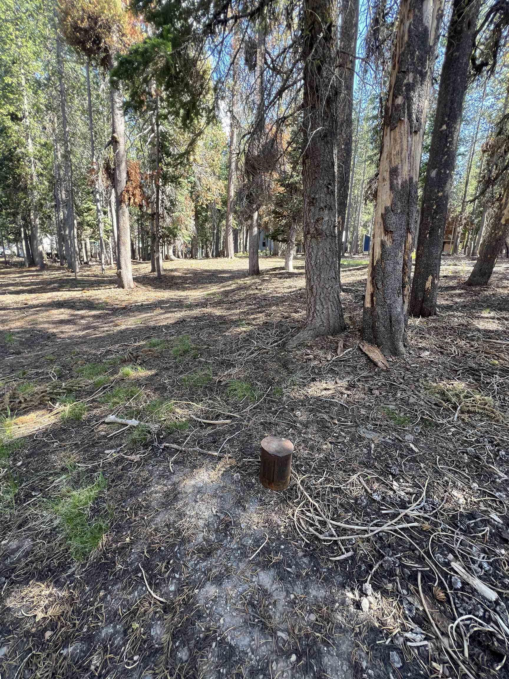 Quick! Here's your chance to snag a Medicine Lake parcel, with a well, just steps to the lake! Enjoy the peace and seclusion of the little cabin community of medicine lake! These properties rarely hit the open market and now's your chance to build a cabin of your own to cherish for generations to come!