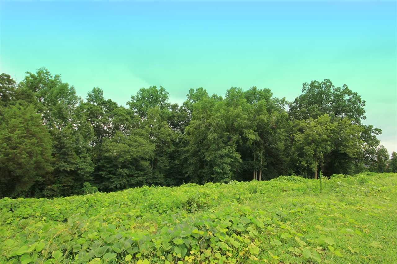 208 Selden Way, Fountain Inn, SC 29644 US Greenville and ...