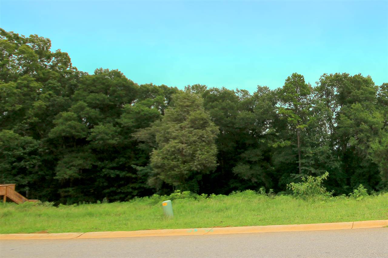 208 Selden Way, Fountain Inn, SC 29644 US Greenville and ...