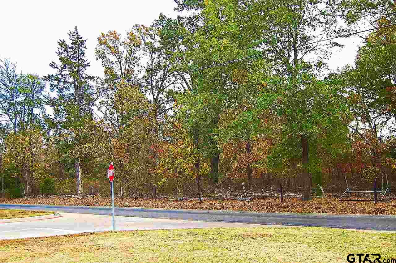 Lot #1 CR 4114, Pittsburg, Texas 75686, ,Land,For Sale,CR 4114,10076563