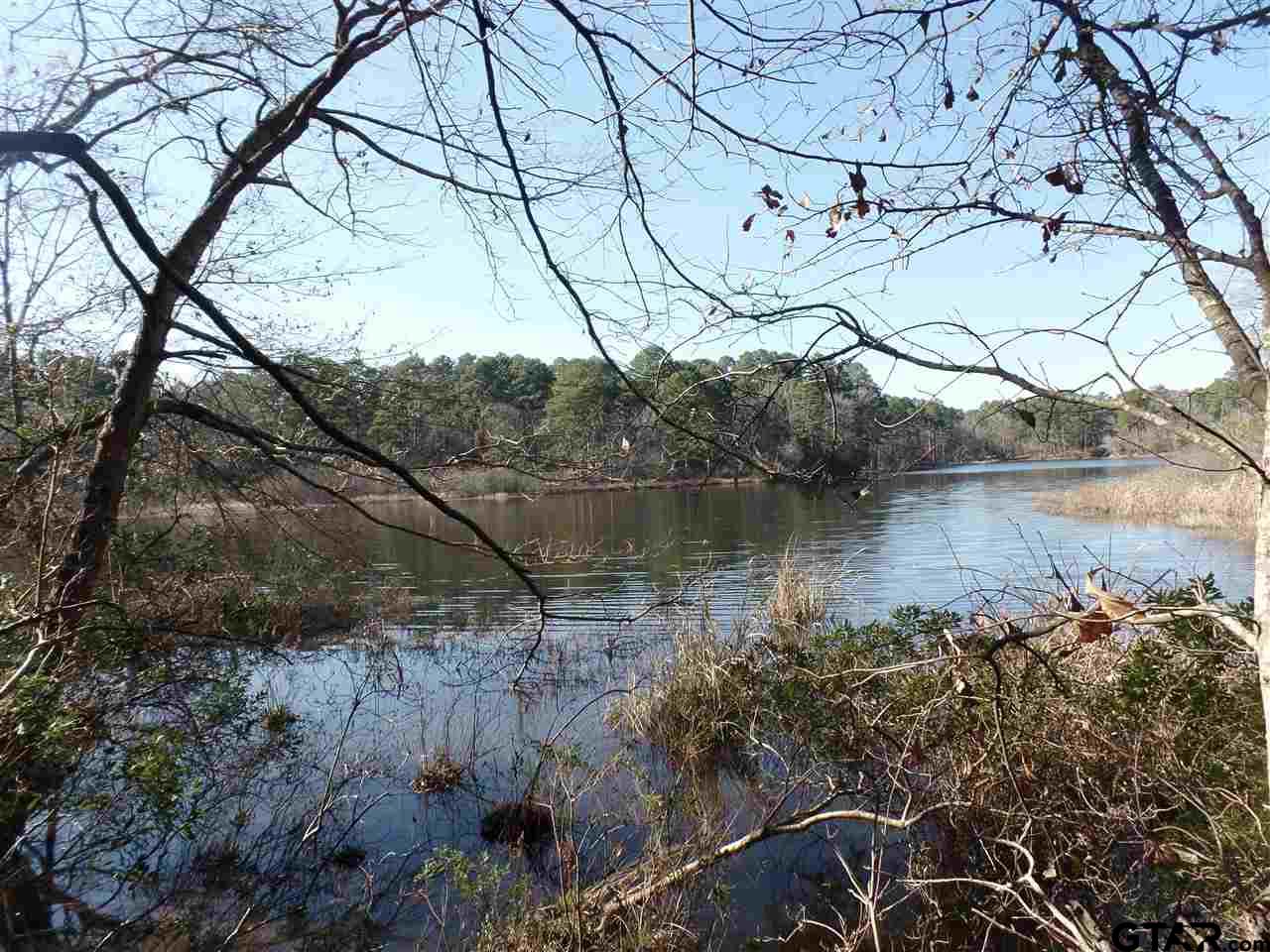 Holly Lake Ranch, Texas Real Estate Peter Craine, Realtor