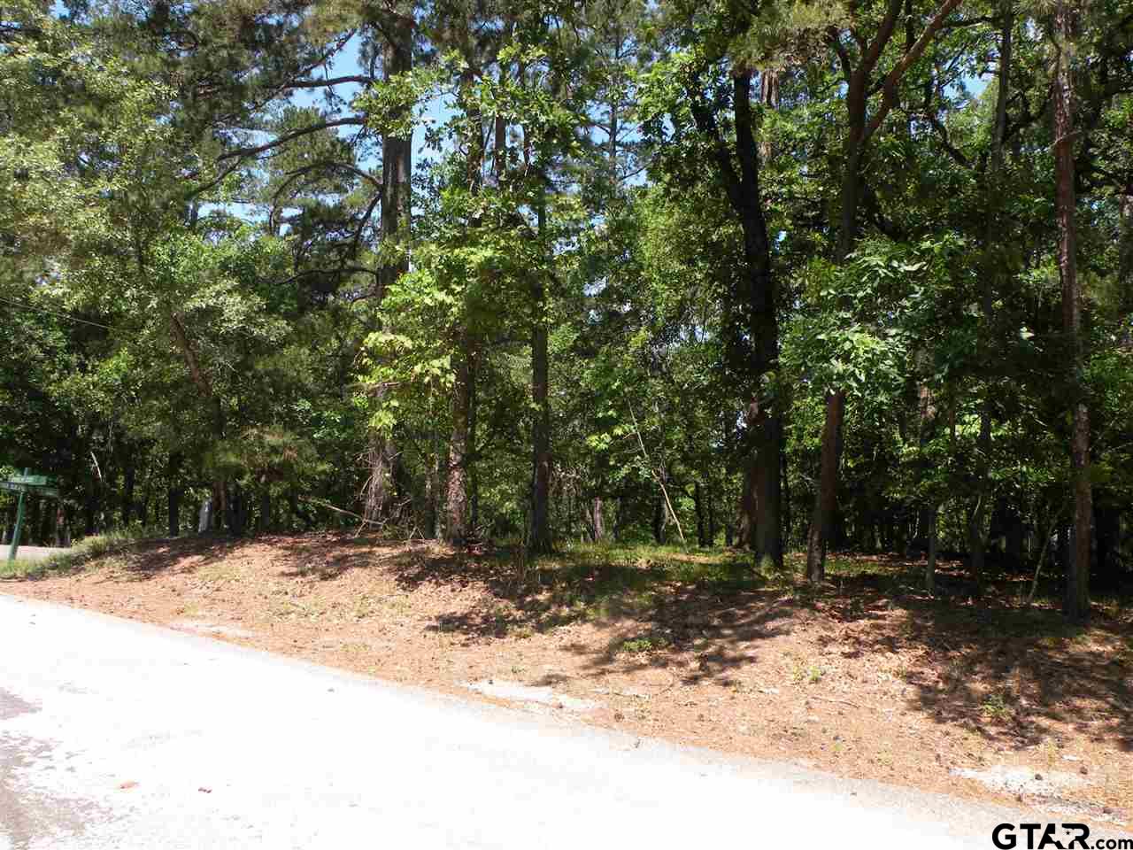 Wonderful corner lot to build a house or weekend home.  The lot is fairly secluded so it doesn't have a lot of traffic.  Holly Lake Ranch is a gated community with an 18 hole golf course, swimming pools, tennis courts, fitness center and many other amenities.  Feel safe with a 24 hour security that monitors the entire area. This area of Holly Lake Ranch is wooded which will allow you to enjoy peaceful days with nature.