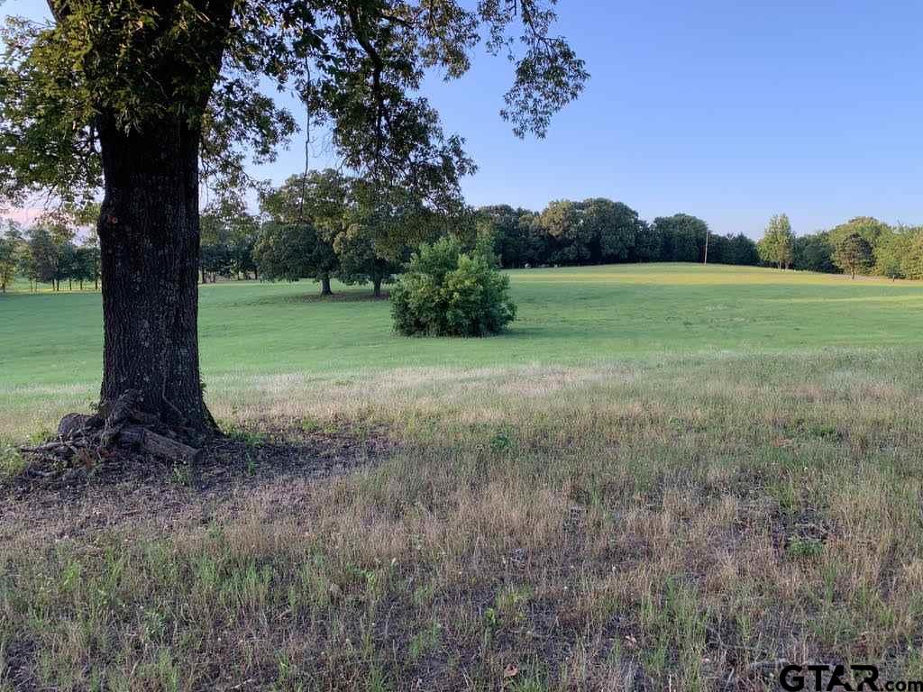 13167 (Lot 4) CR 420, Tyler, Texas 75704, ,Residential,For Sale,CR 420,10122827