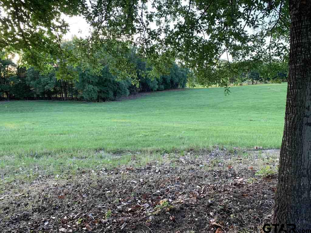 13167 (Lot 4) CR 420, Tyler, Texas 75704, ,Residential,For Sale,CR 420,10122827