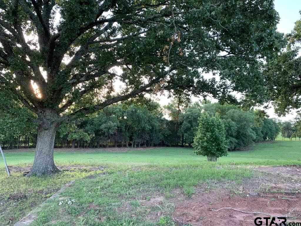 13167 (Lot 4) CR 420, Tyler, Texas 75704, ,Residential,For Sale,CR 420,10122827