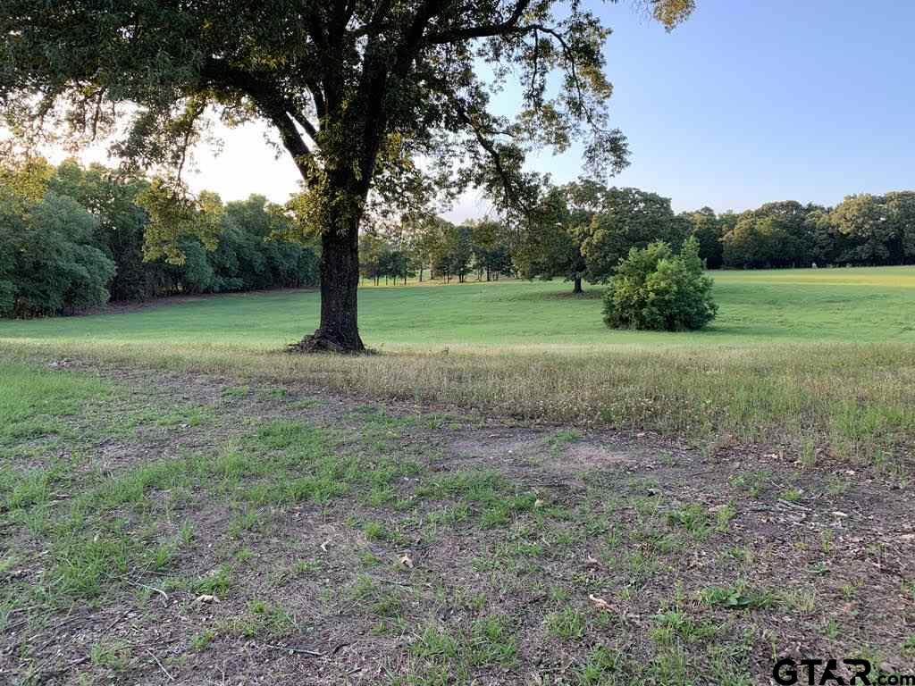 13167 (Lot 4) CR 420, Tyler, Texas 75704, ,Residential,For Sale,CR 420,10122827