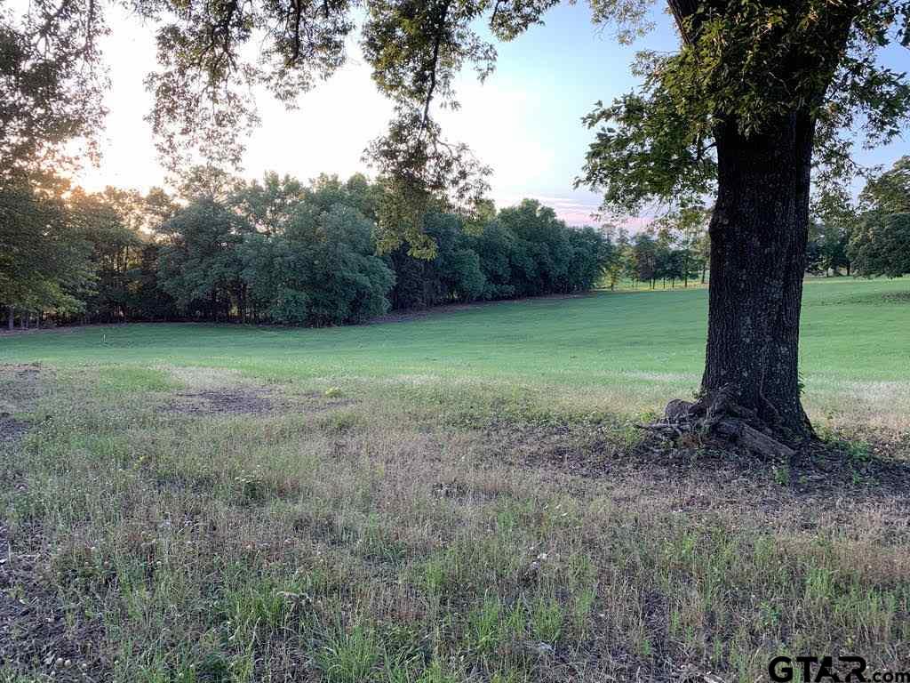 13167 (Lot 4) CR 420, Tyler, Texas 75704, ,Residential,For Sale,CR 420,10122827