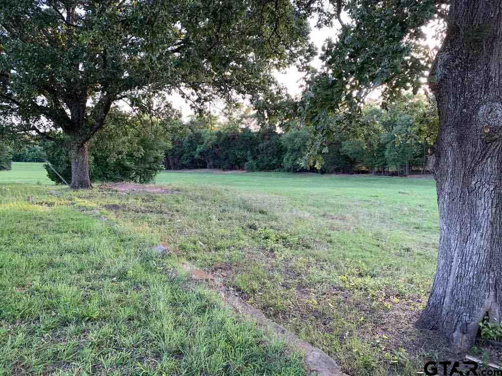 13167 (Lot 4) CR 420, Tyler, Texas 75704, ,Residential,For Sale,CR 420,10122827