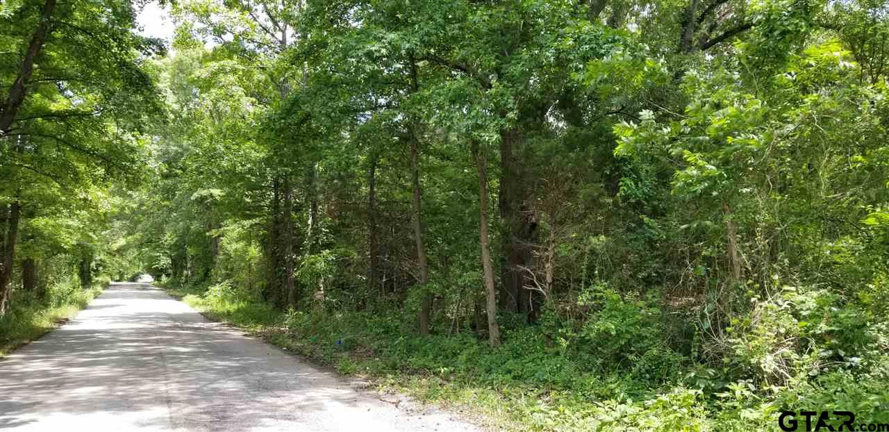 TBD CR 472 and Interstate 20, Lindale, Texas 75771, ,Land,For Sale,CR 472 and Interstate 20,10127363