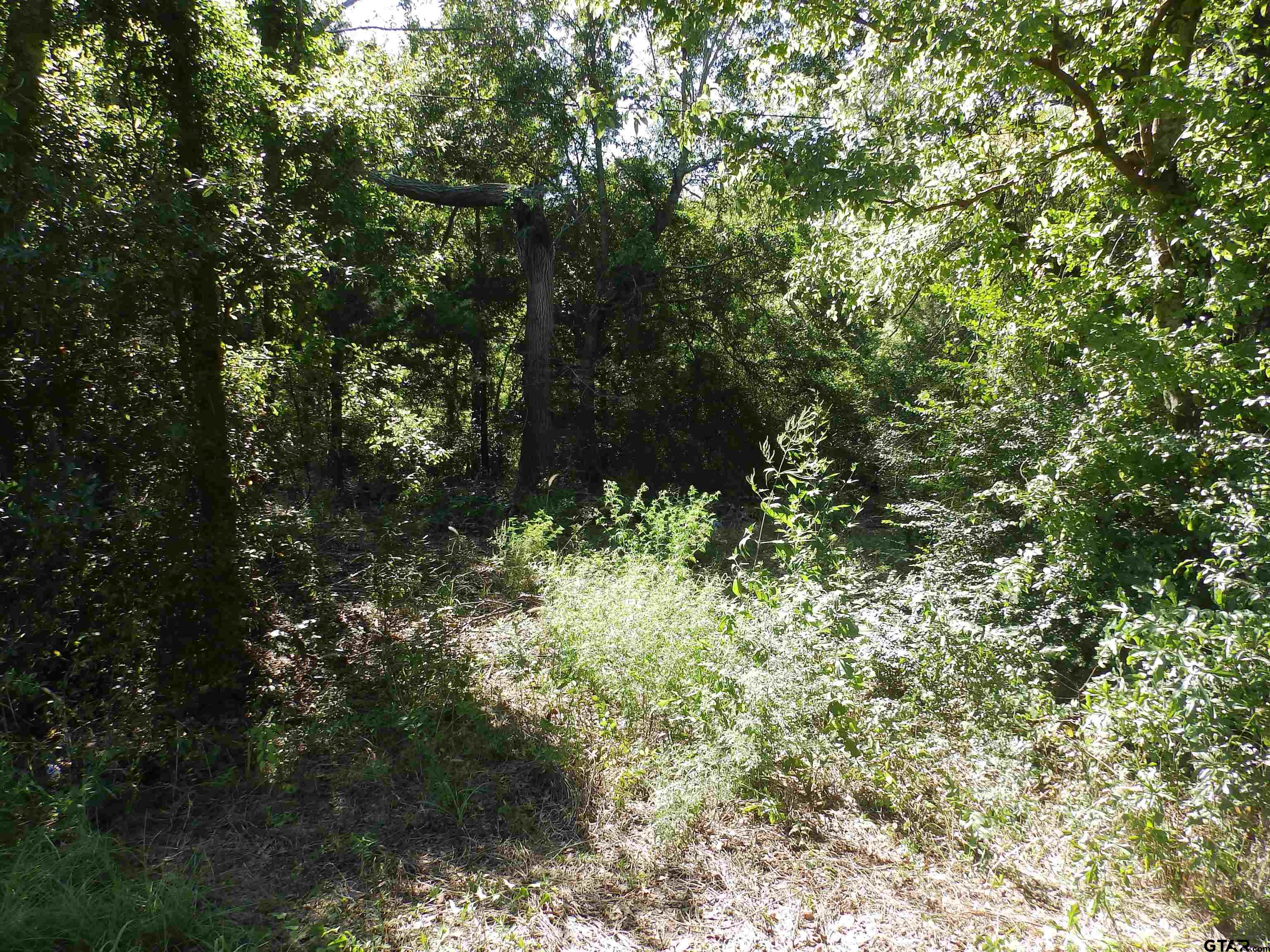 16393 HWY 31 Lot-5, Tyler, Texas 75709, ,Land,For Sale,HWY 31 Lot-5,10132004