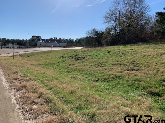 0 Hwy 155, Palestine, Texas 75803, ,Land,For Sale,Hwy 155,10139385