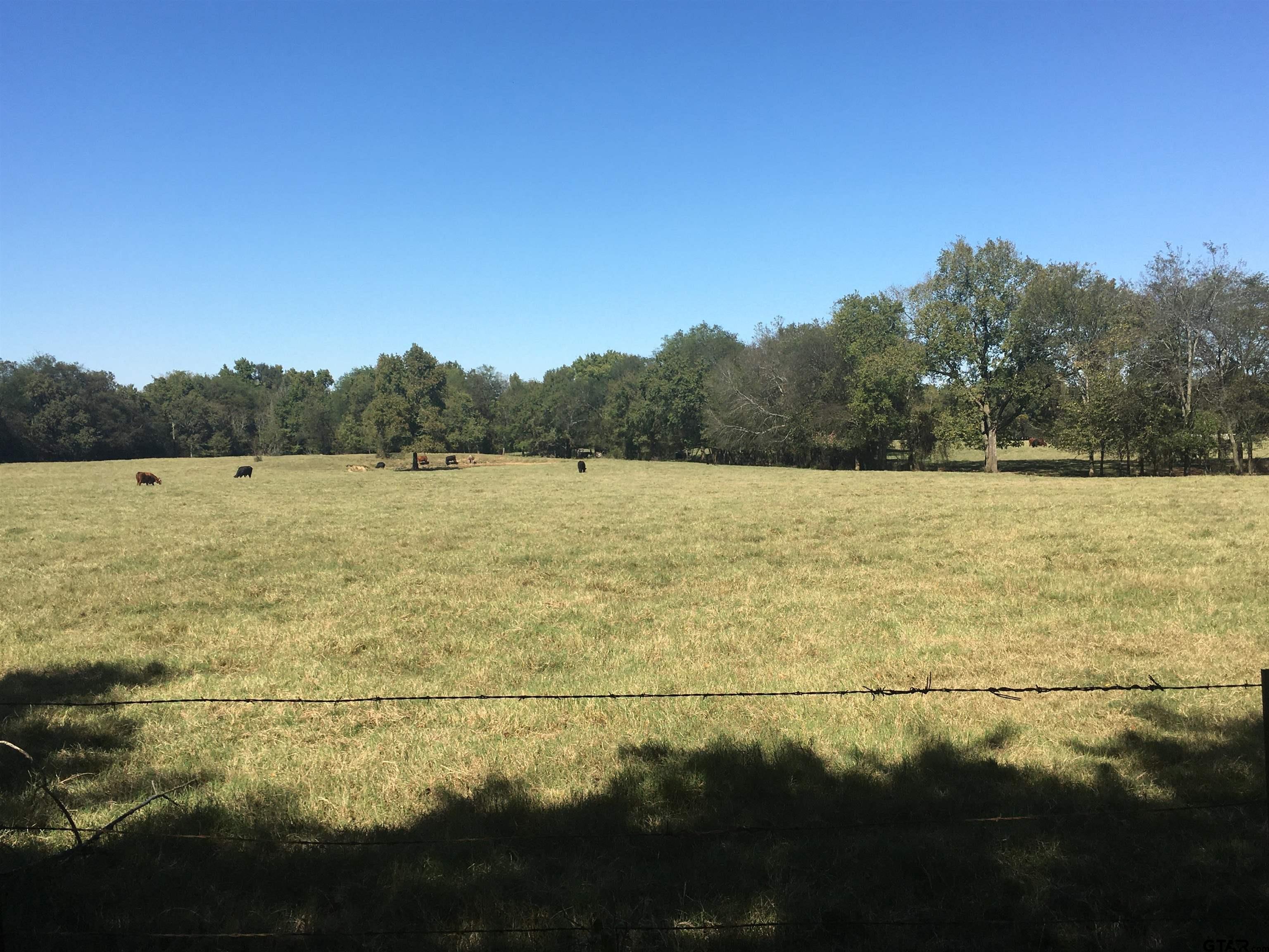 This 40+- acres is part of larger 80+- acre parcel.  Seller will sell 40+-ac W side. See green gate.