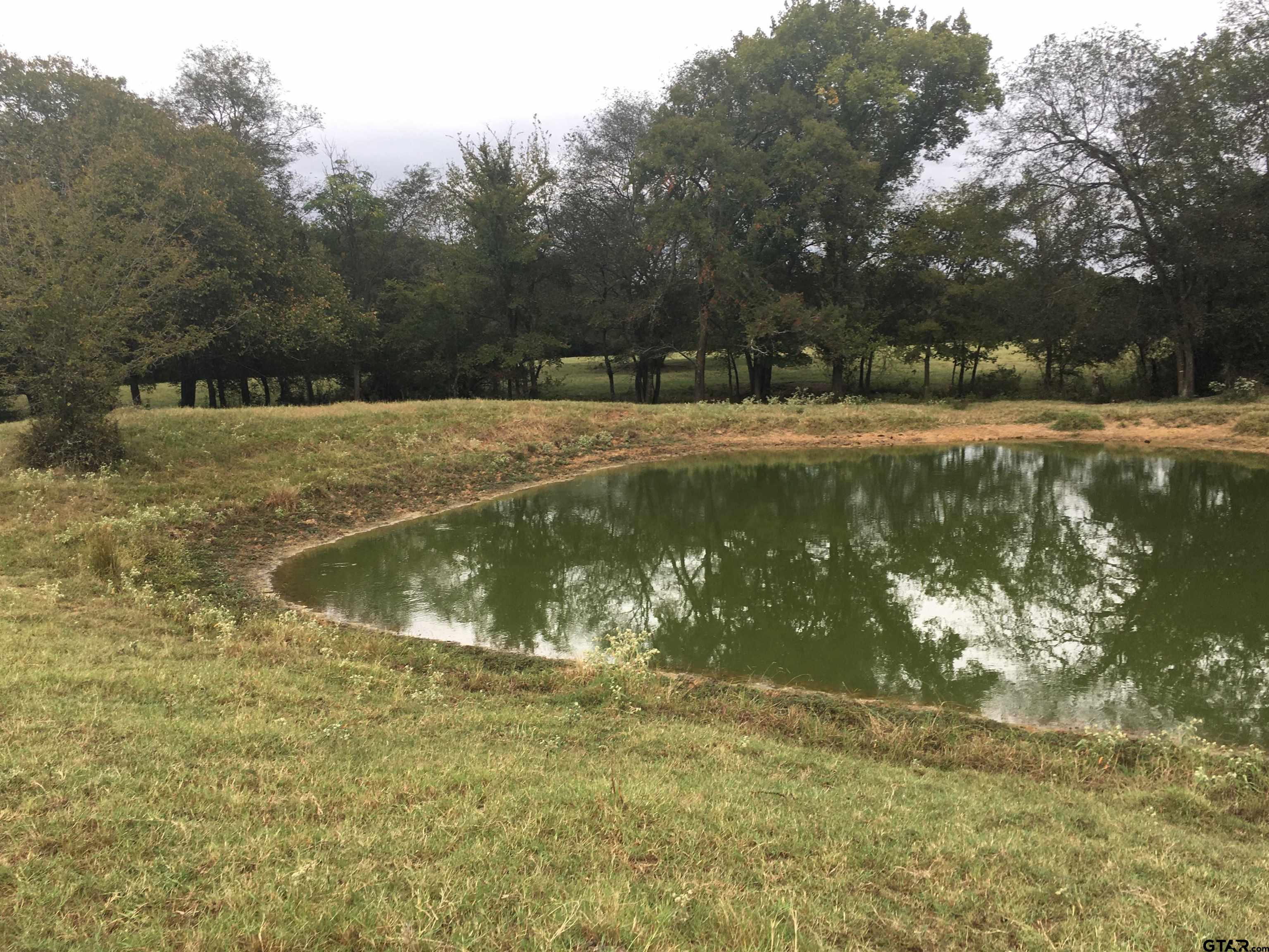 Stocked pond with channel cat and hybrid blue gill approximately 12 ft deep center per Seller