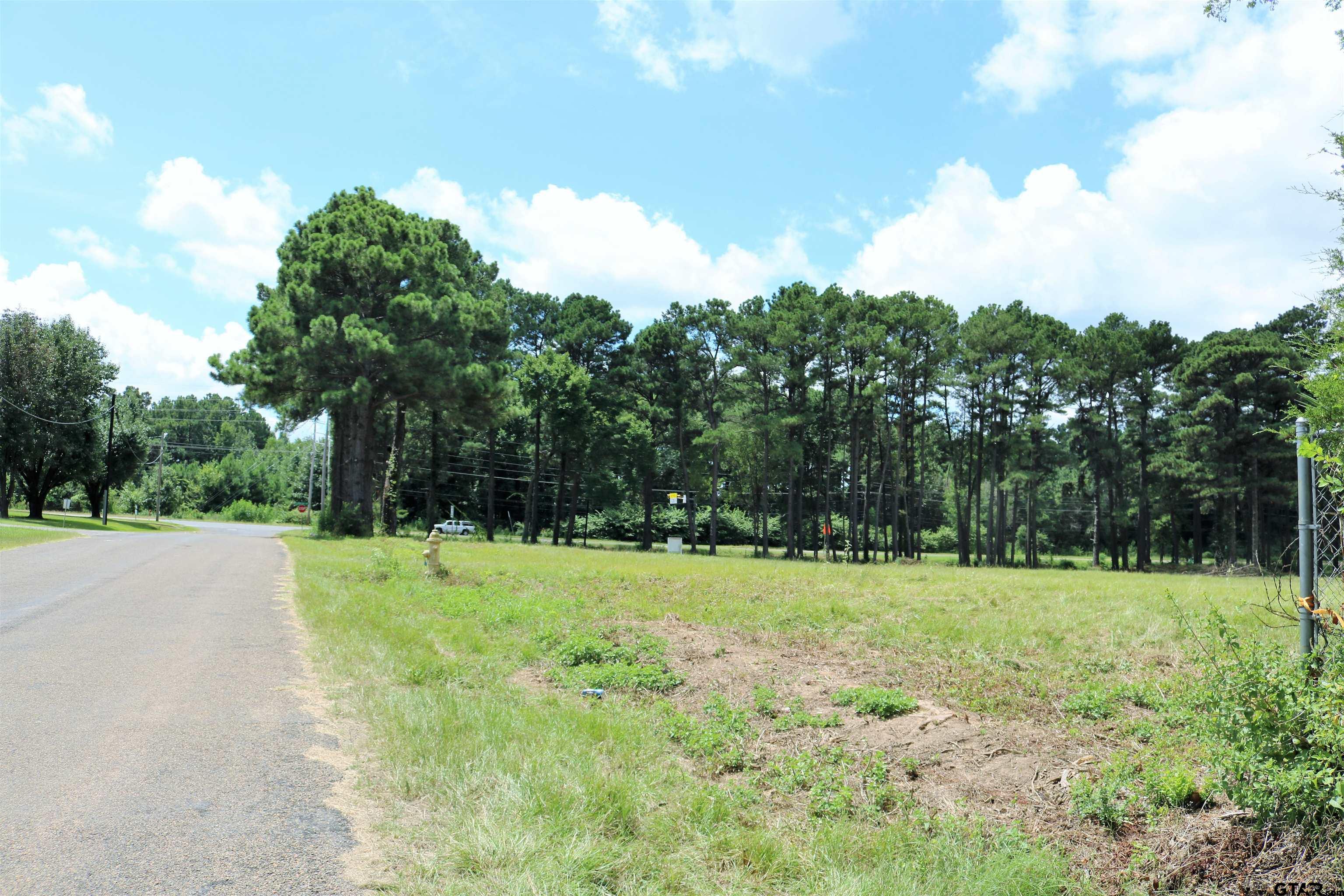 TBD Loop 281, Tract 1, Longview, Texas 75604, ,Land,For Sale,Loop 281, Tract 1,10142319
