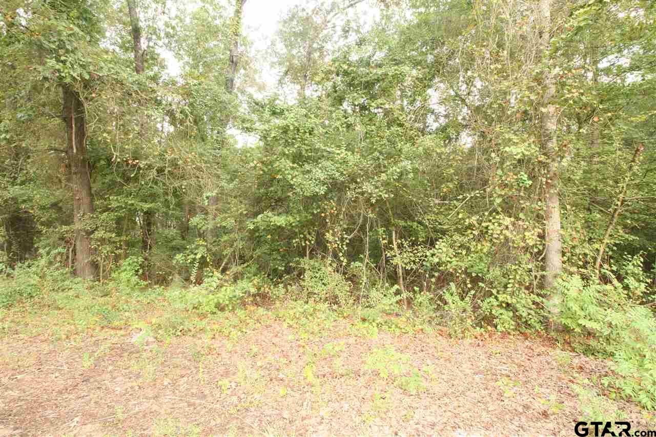 Great lot to build on in a Lake community. Buyer to verify any restrictions.