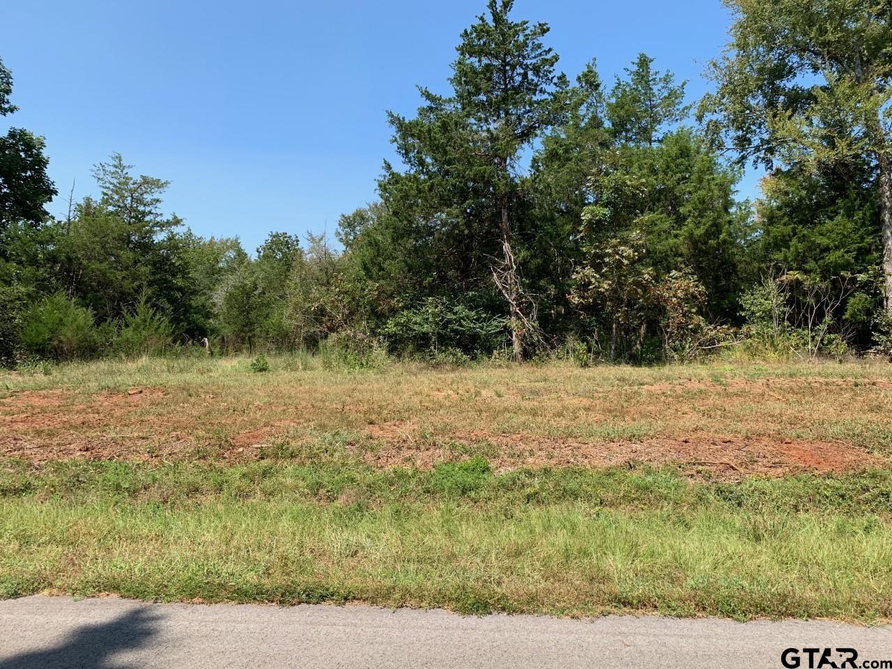 Photo for MLS Id 10144159 located at Tract 2 Moser Ln