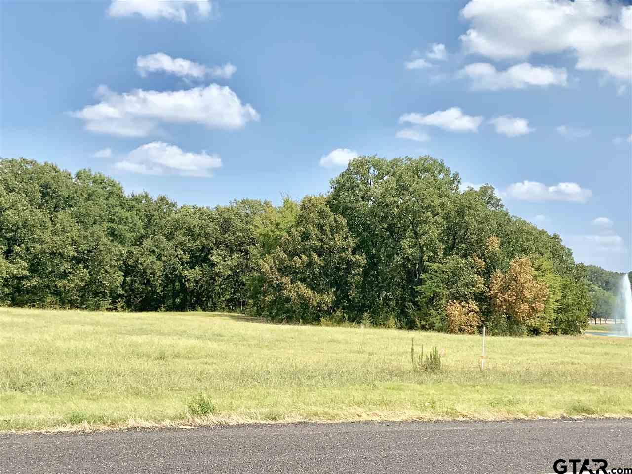 TBD Hwy 271, Pittsburg, Texas 75686, ,Land,For Sale,Hwy 271,10145658