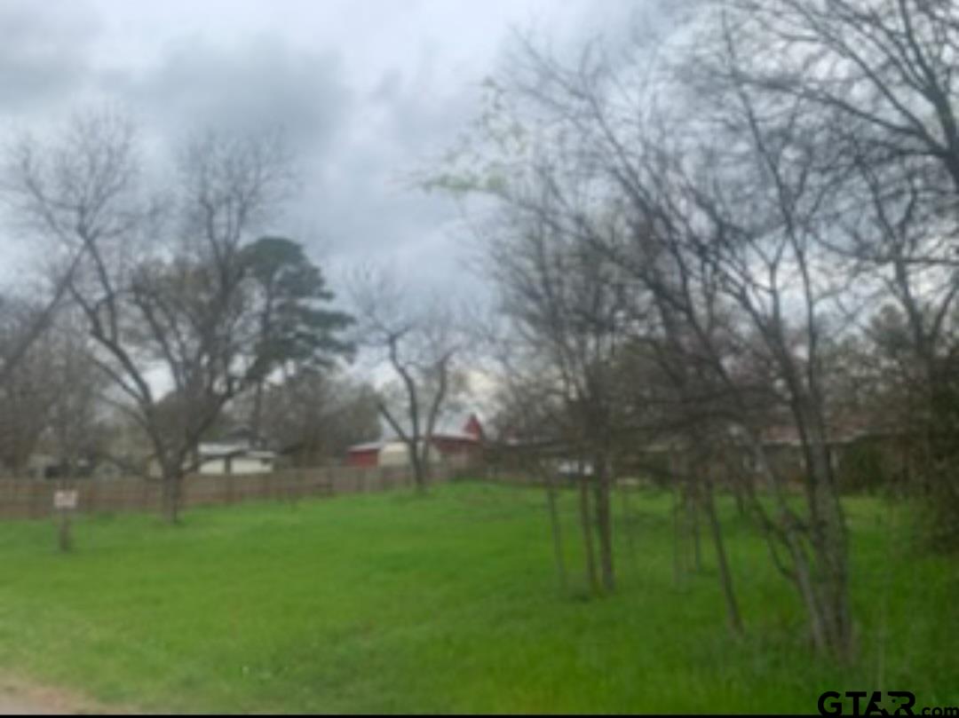 Beautiful piece of land that's right in the center of Big Sandy. Minutes away from the school, and in a great neighborhood.