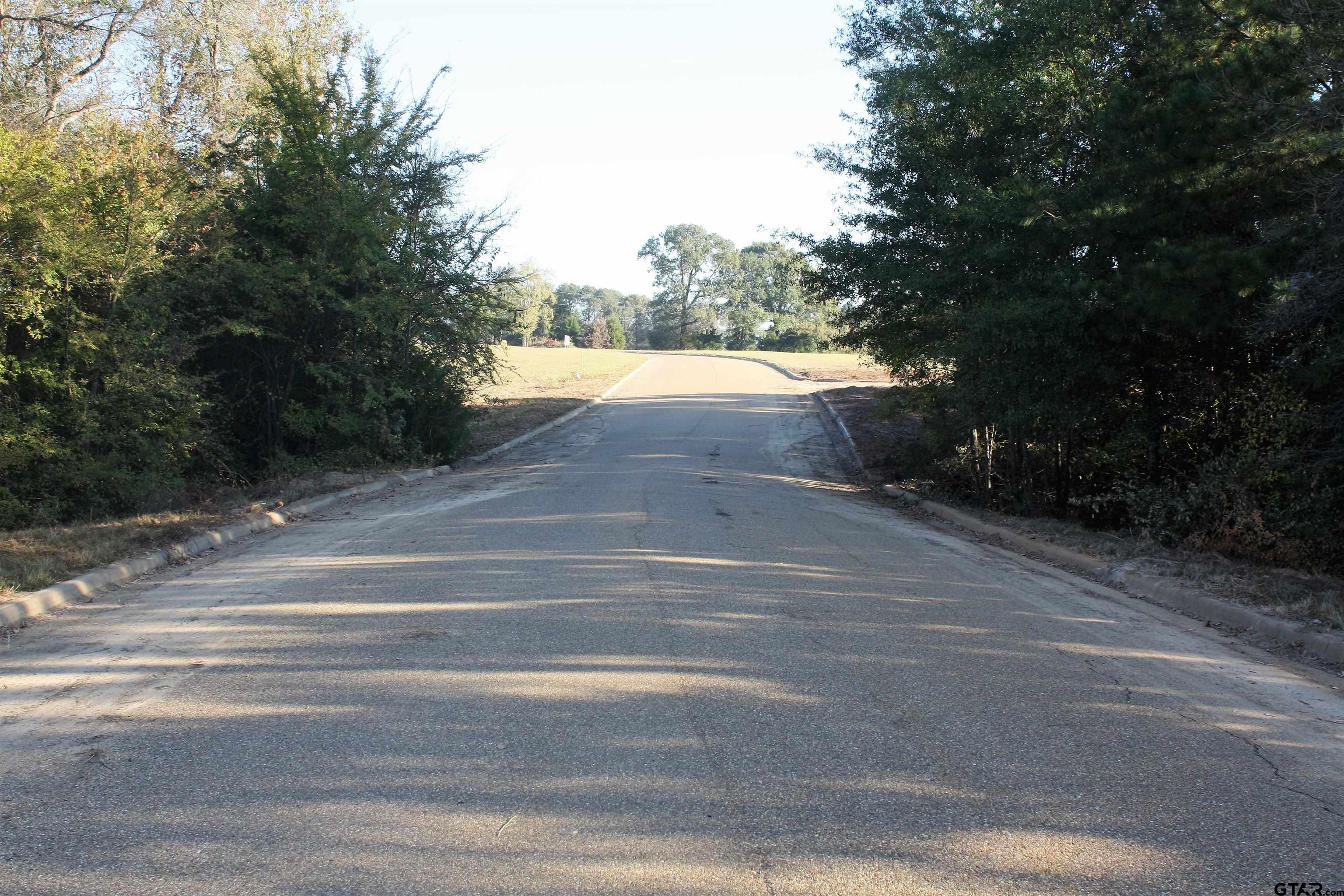 TBD Armadillo Rd - Lot 20 Meadow Springs Subdivision, Gilmer, TX 75644
