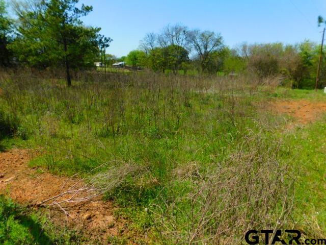 This lot is approximately 0.674 acre and is in the Woodland Harbor Subdivision with  community amenities.  It is located at the end of the cul-de-sac on PR 52041. See sign.  It has a small entrance and opens up to a nice size lot.