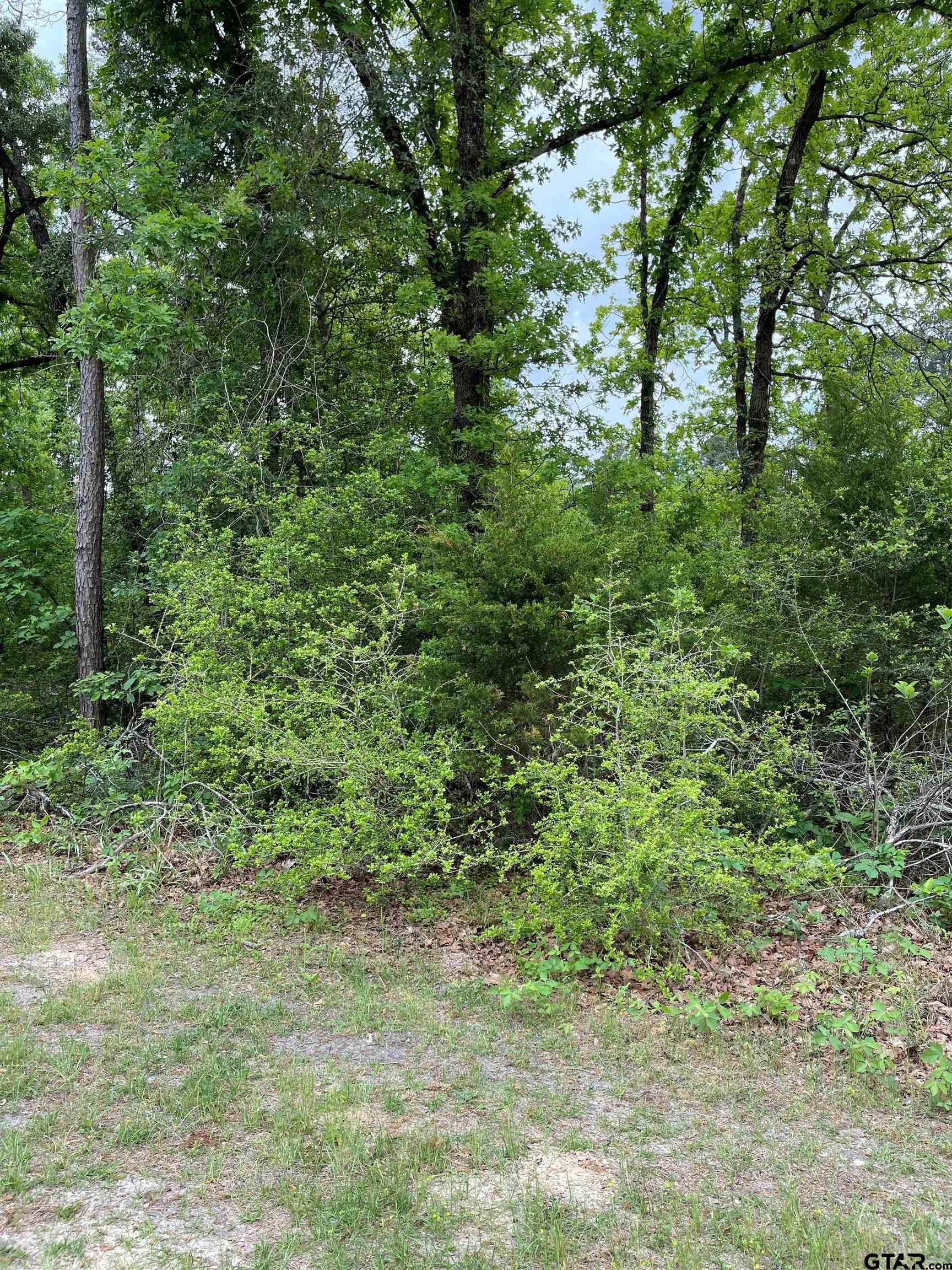 Two wooded lots located in Sec 3 of the gated community of Holly Lake Ranch.  This secluded section has a pool but residents are able to enjoy all the amenities provided by Holly Lake Ranch such as fishing, pickleball and tennis, hiking trails, fitness center and much, much more.