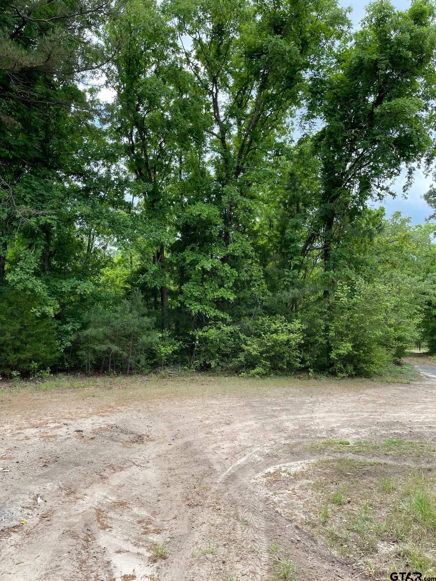 Three wooded lots located in Sec 3 of the gated community of Holly Lake Ranch. Two lots are connected while third lot is close. This secluded section has a pool but residents are able to enjoy all the amenities provided by Holly Lake Ranch such as fishing, pickleball and tennis, hiking trails, fitness center and much, much more.