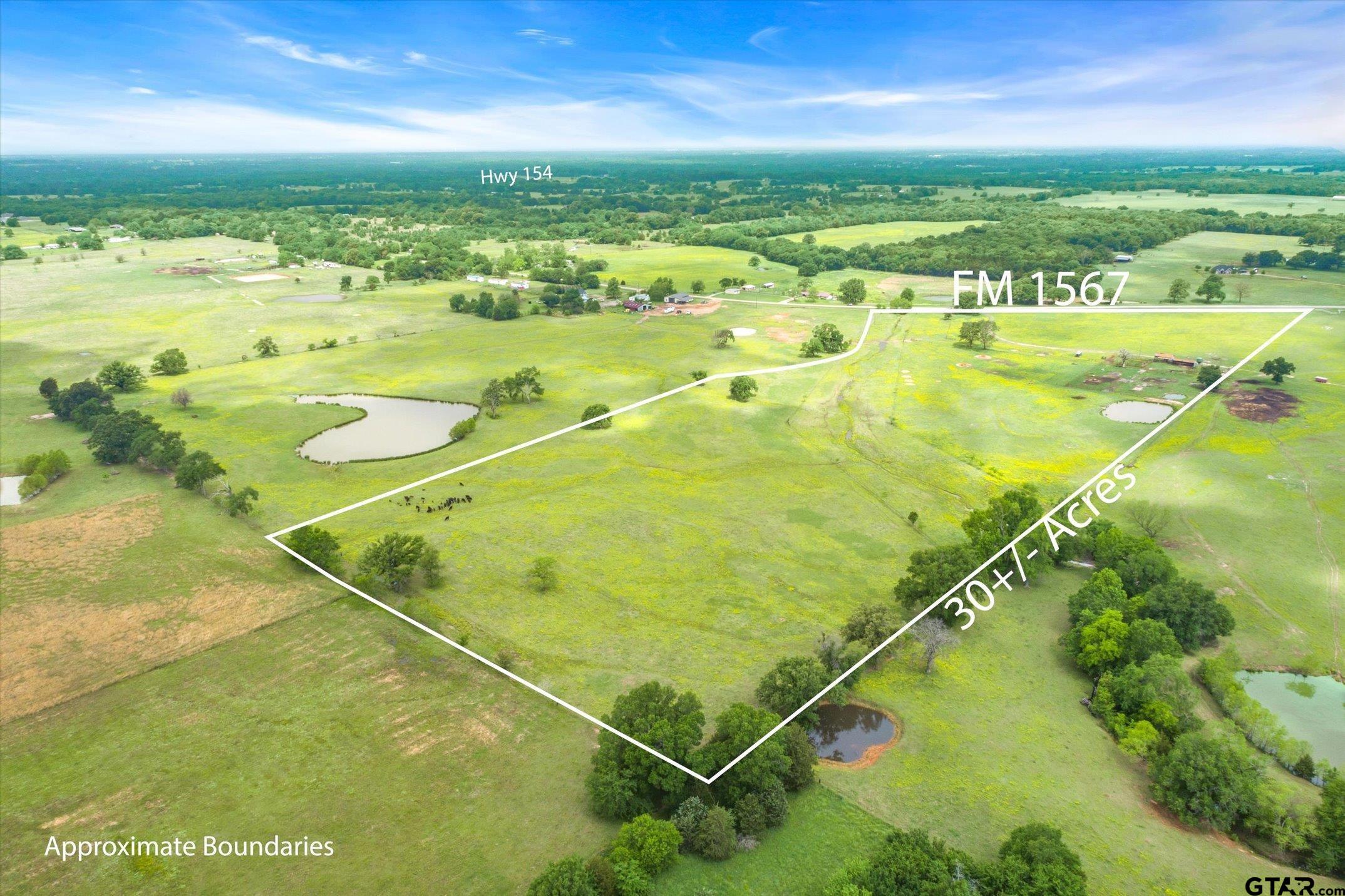 30+/- acres. Beautiful country setting is perfect for your new dream home. Currently being used for cattle with working pens in place and pond. Improved pastures. Fenced and cross fenced. Close to interstate 30. Call today, this one won't last.  Water meter and electric are already in place.