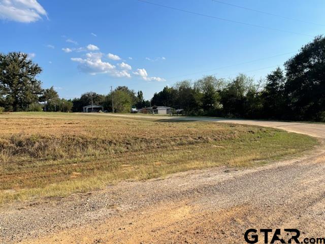 BRING YOUR RV, TINY HOME, MOBILE HOME OR YOU CAN BUILD.  NICE CORNER 50X80 LOT.  GATED SUBDIVISION WITH LOTS OF AMENITIES INCLUDING NICE LARGE SWIMMING POOL, BOAT RAMPS, FISHING PONDS AND MORE.