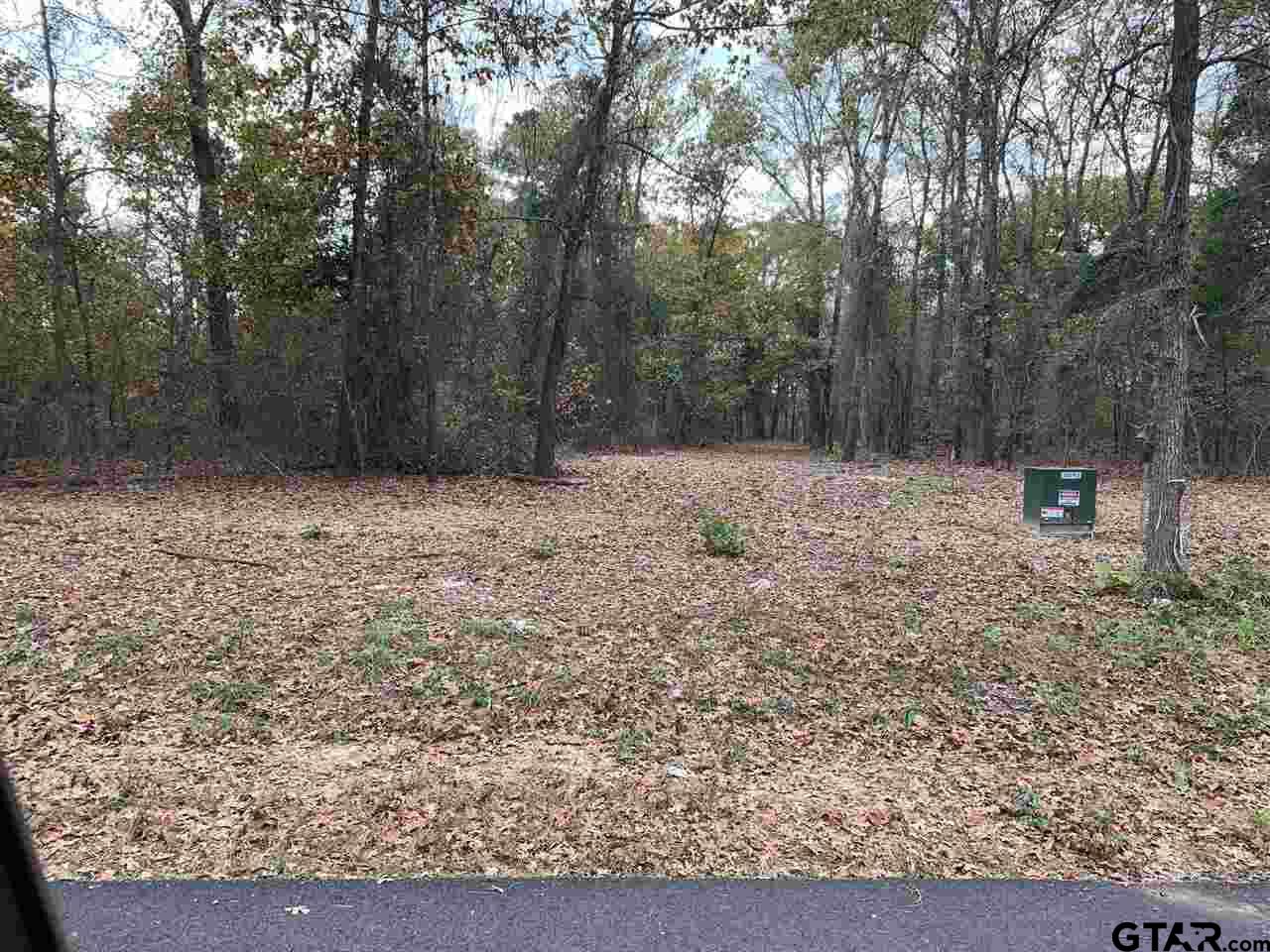 Photo for MLS Id 10149540 located at Lot 8 Old Tyler Rd.