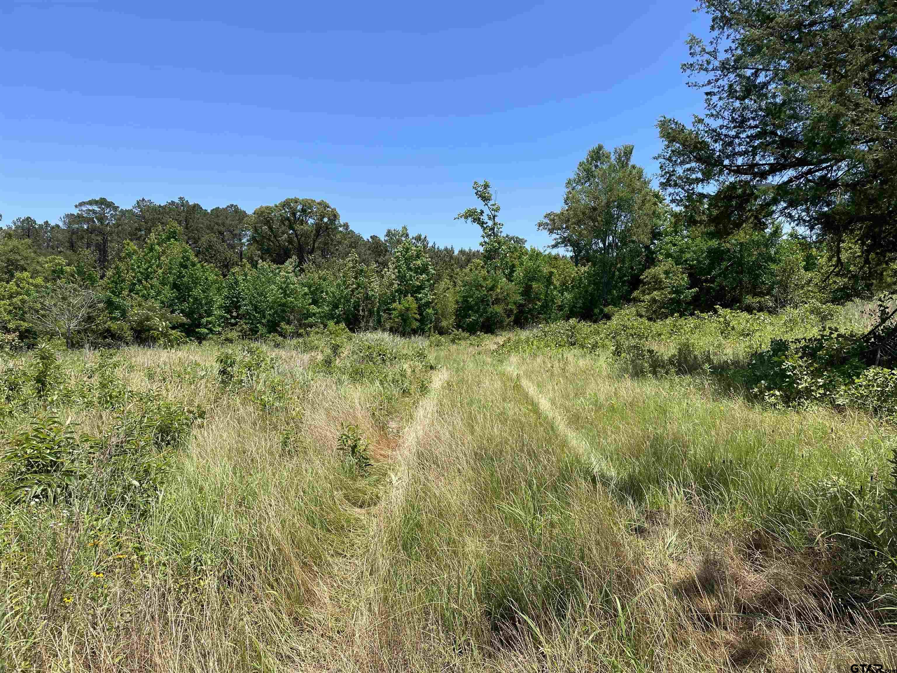 TBD US Hwy 69 S., Alto, Texas 75925, ,Rural Acreage,For Sale,US Hwy 69 S.,10150401