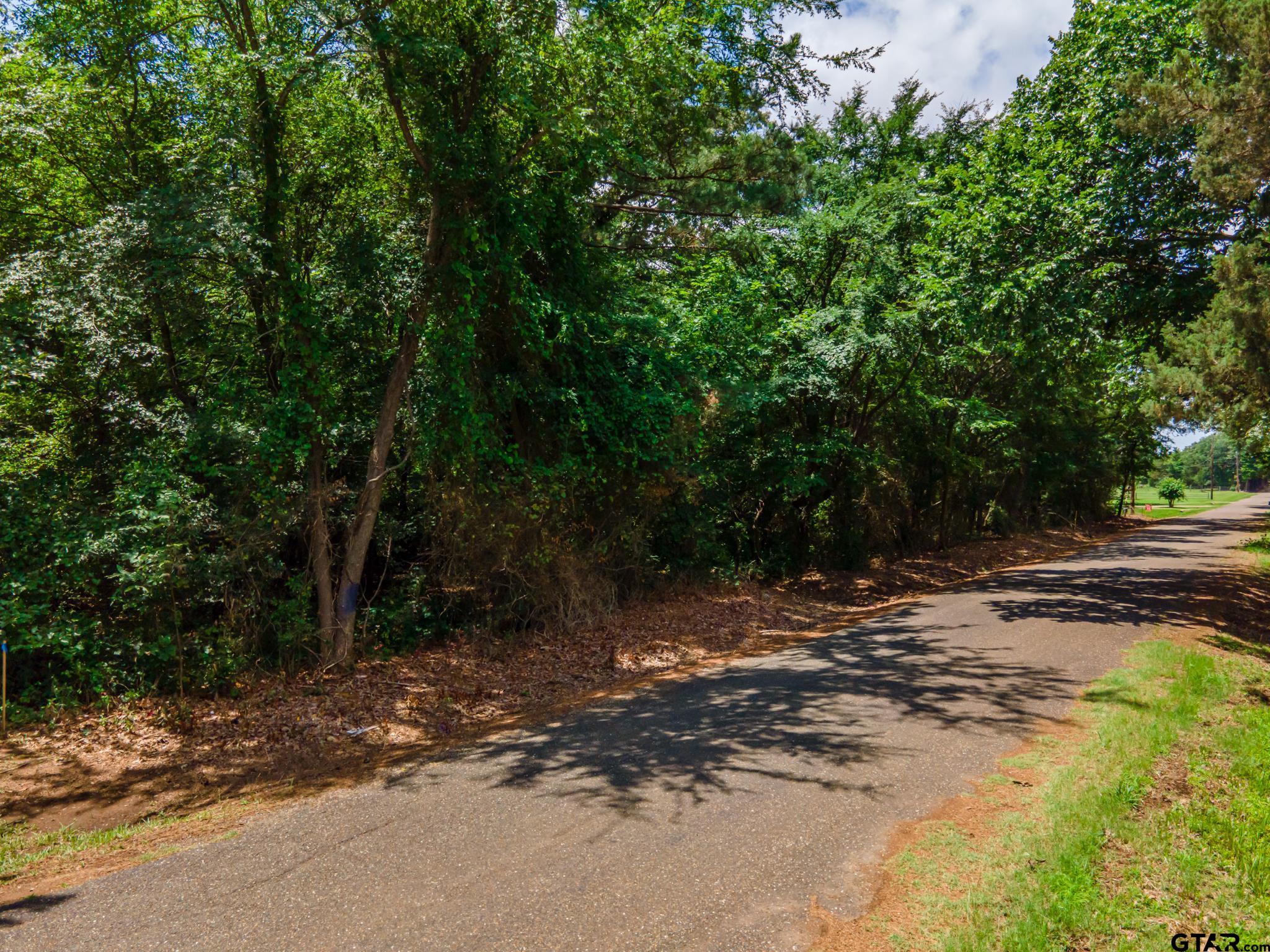 TBD Cr 2010, Mt Vernon, Texas image 3
