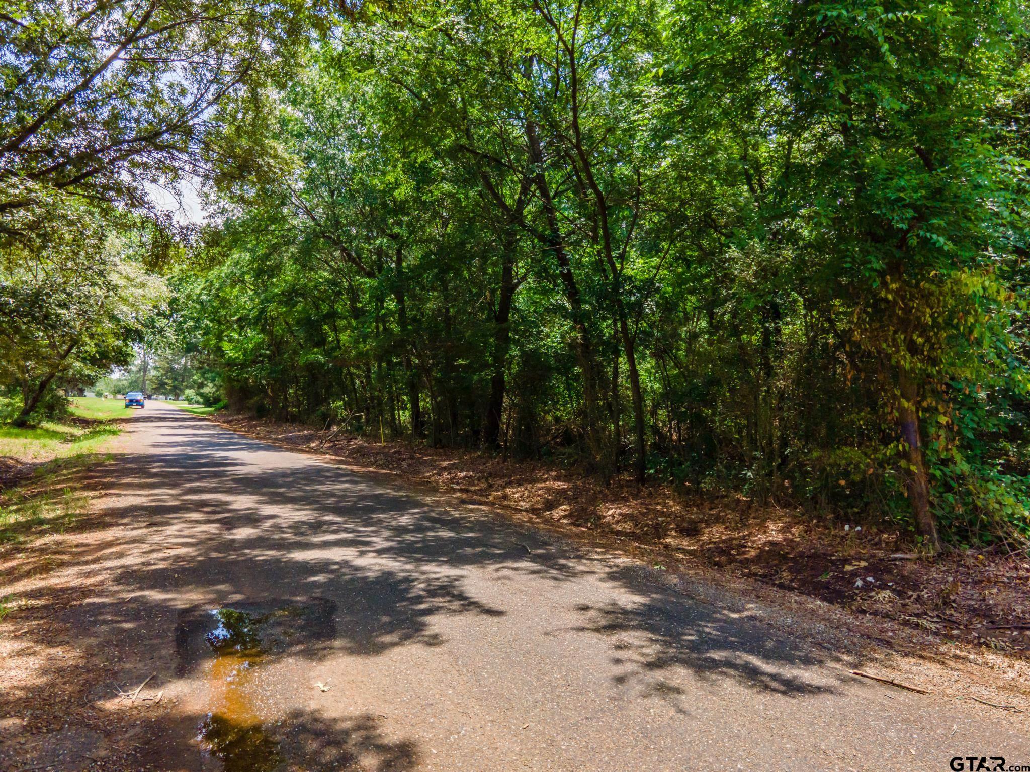 TBD Cr 2010, Mt Vernon, Texas image 4