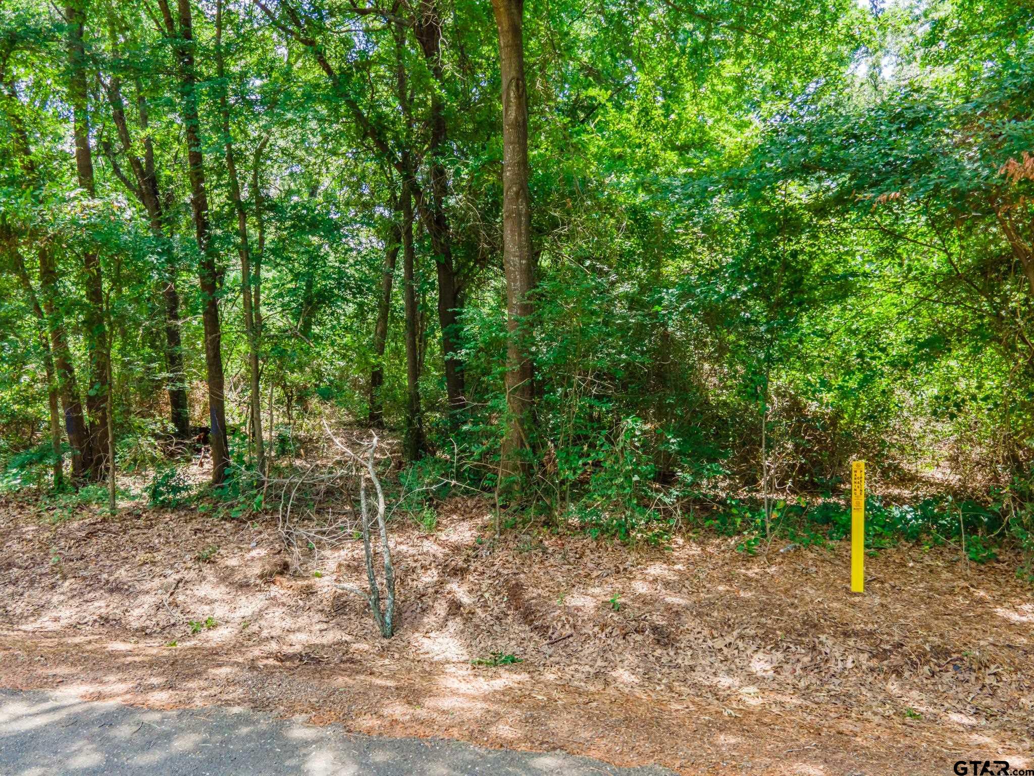 TBD Cr 2010, Mt Vernon, Texas image 6