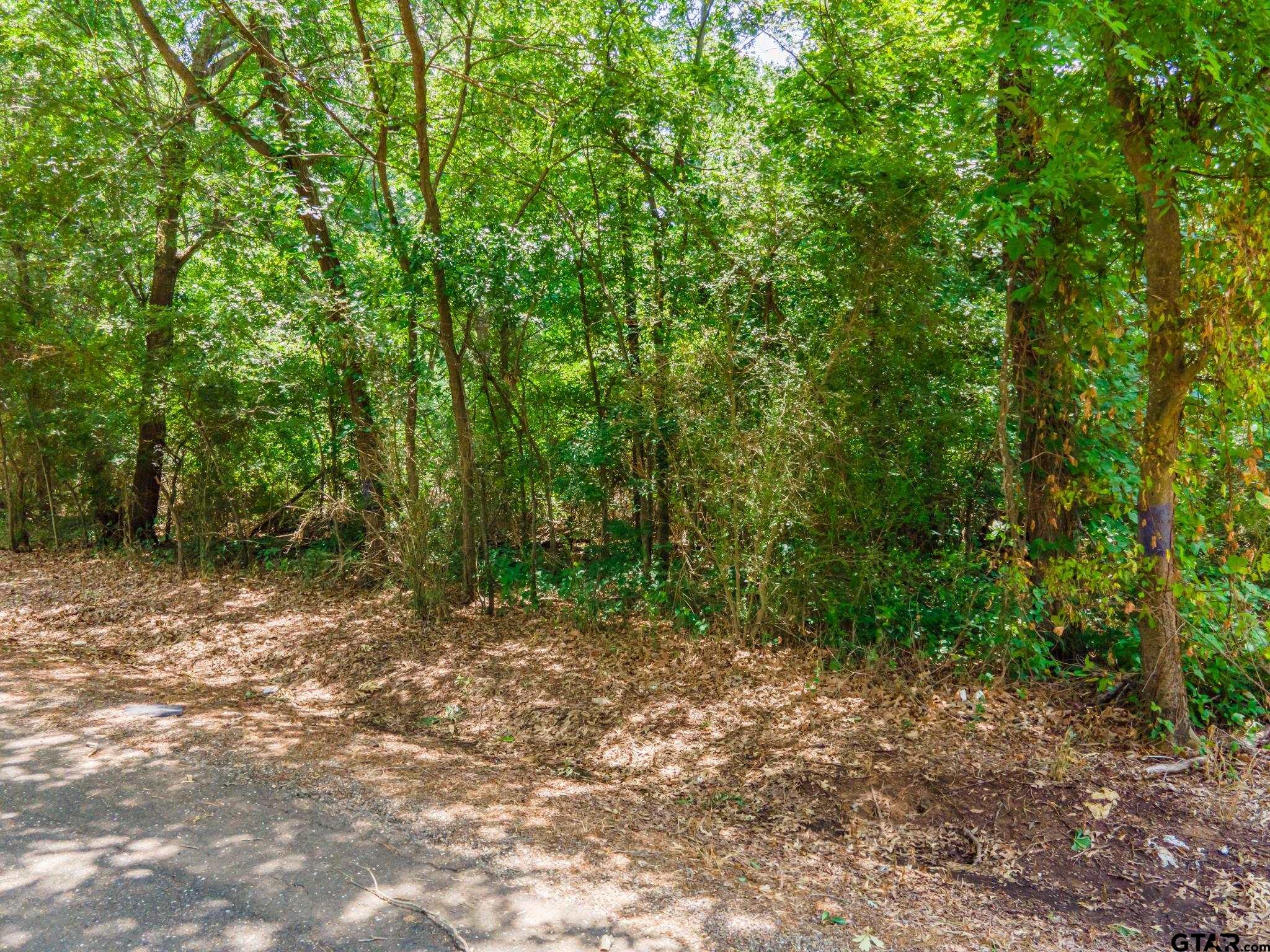 TBD Cr 2010, Mt Vernon, Texas image 7
