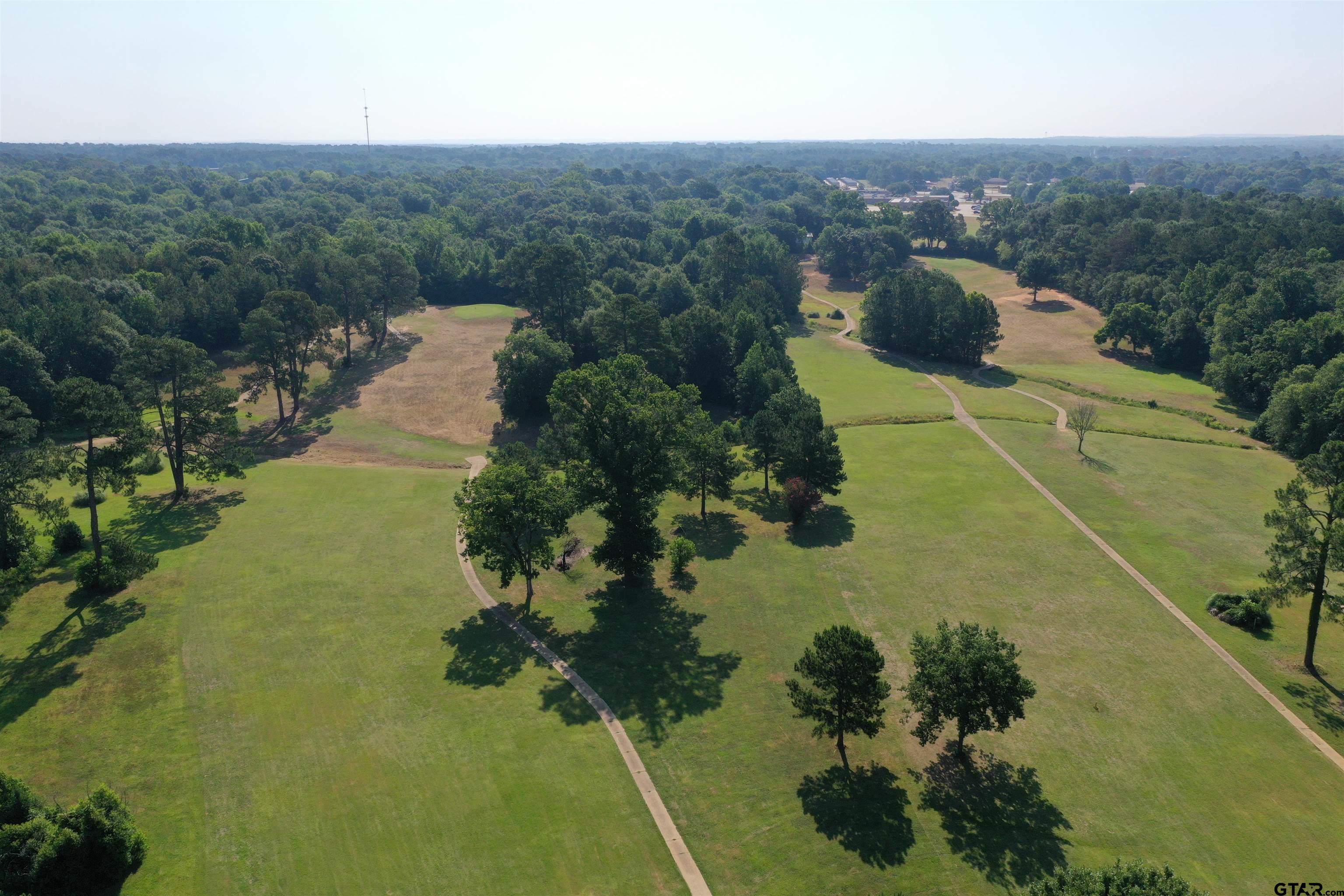 2330 Country Club Rd, Palestine, Texas 75803, ,Land,For Sale,Country Club Rd,10153110