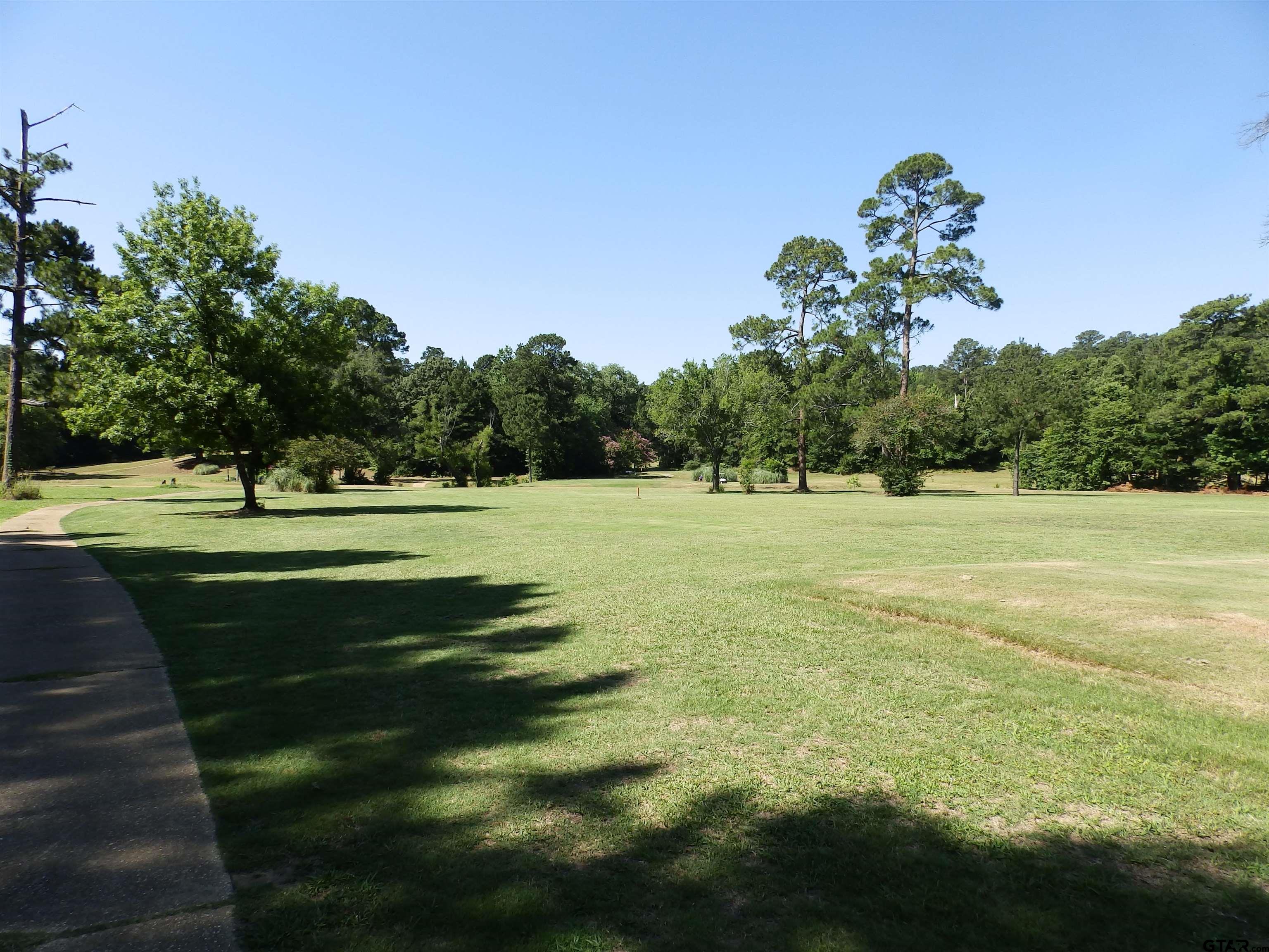 2330 Country Club Rd, Palestine, Texas 75803, ,Land,For Sale,Country Club Rd,10153110