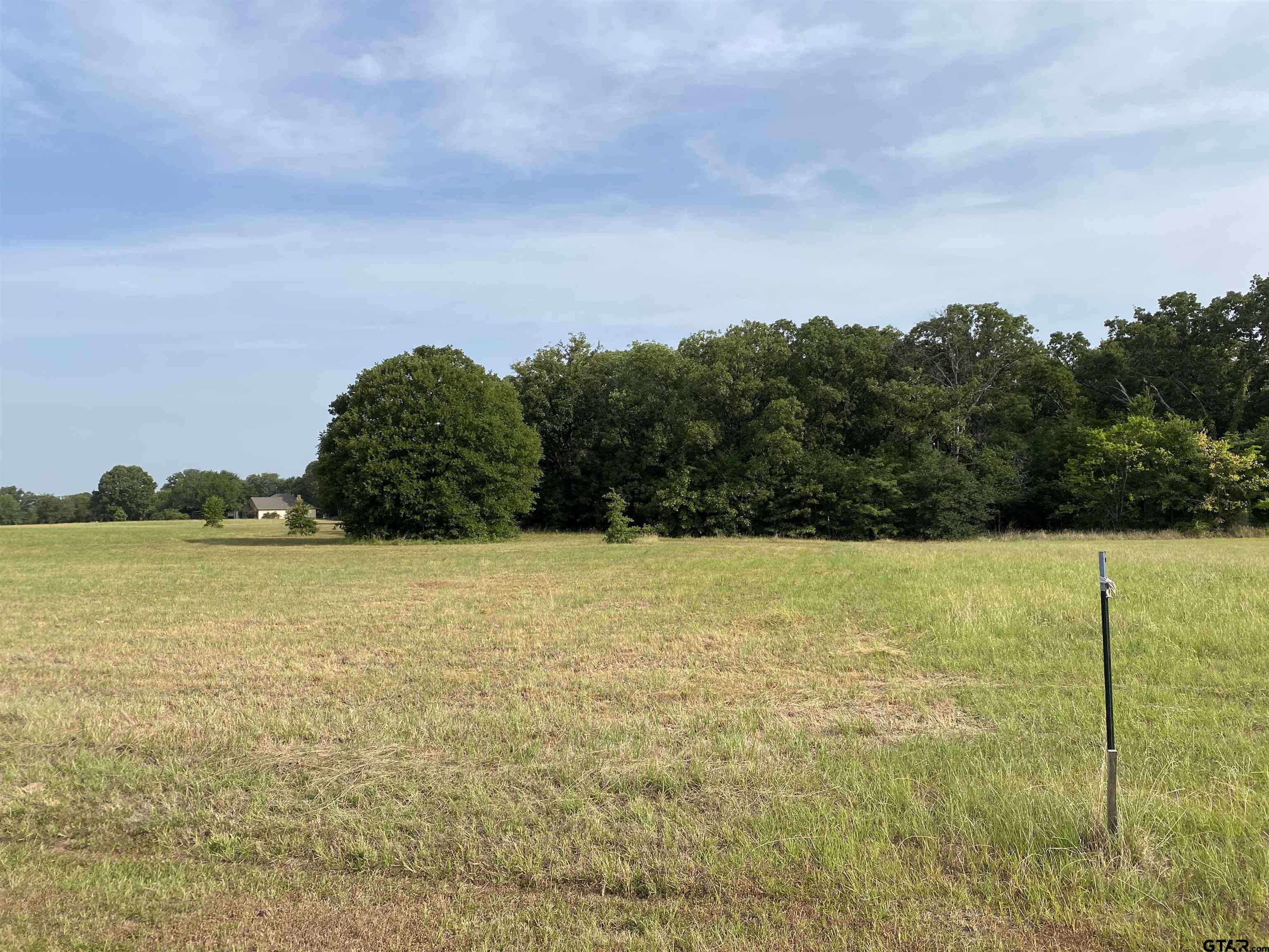 4 Acres Rains County Road 2225, Emory, Texas 75440, ,Residential,For Sale,Rains County Road 2225,10153442