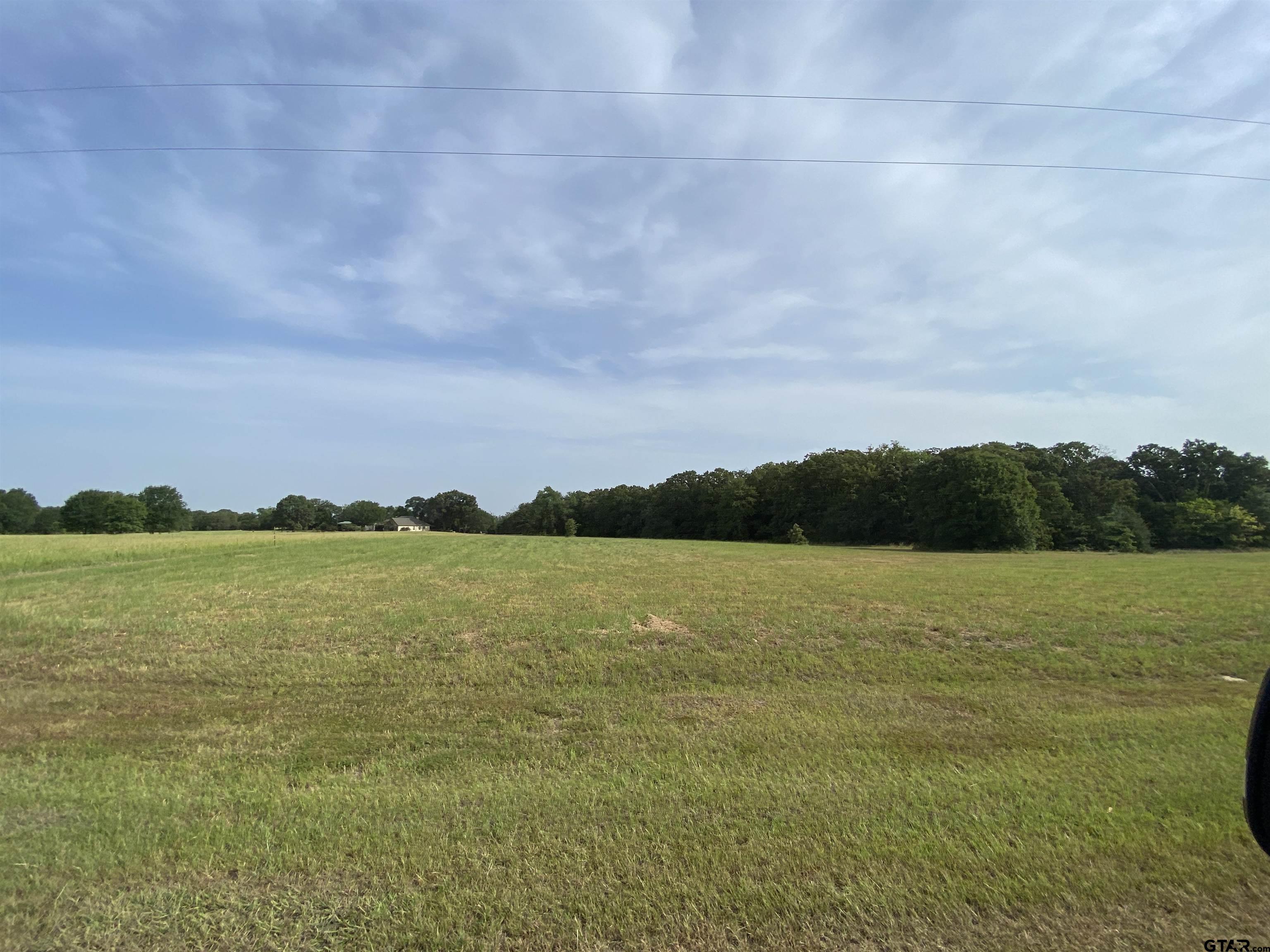 4 Acres Rains County Road 2225, Emory, Texas 75440, ,Residential,For Sale,Rains County Road 2225,10153442