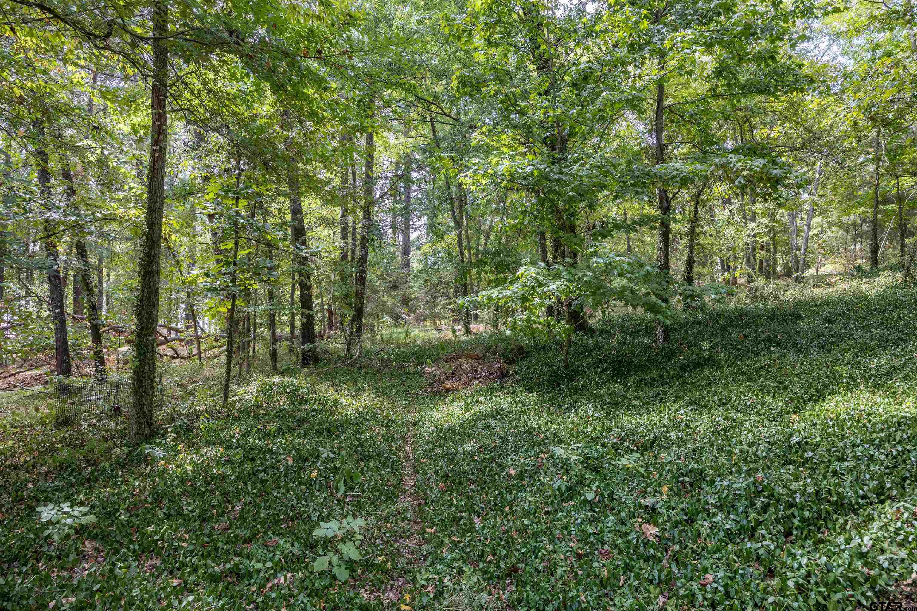 extra wooded lot