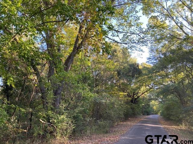 TBD County Road 1500, Athens, Texas 75751, ,Rural Acreage,For Sale,County Road 1500,10157967
