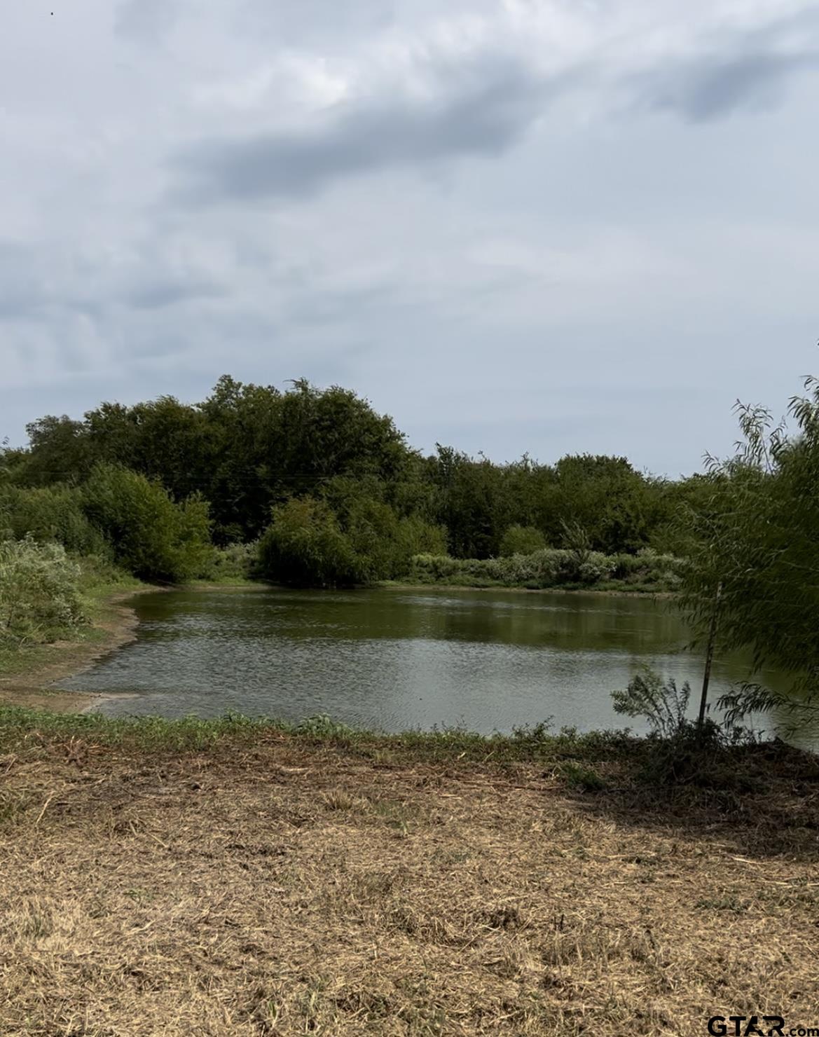 Lot 6 County Road 3374, Emory, Texas image 1