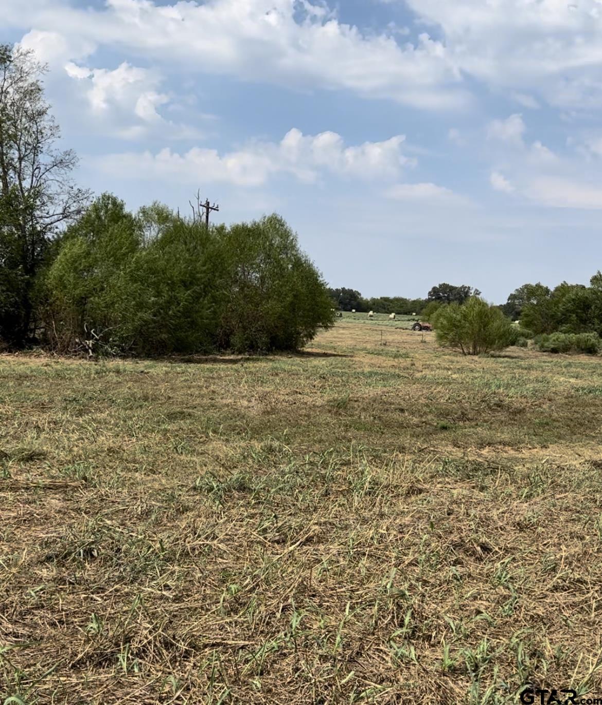 Lot 6 County Road 3374, Emory, Texas image 3
