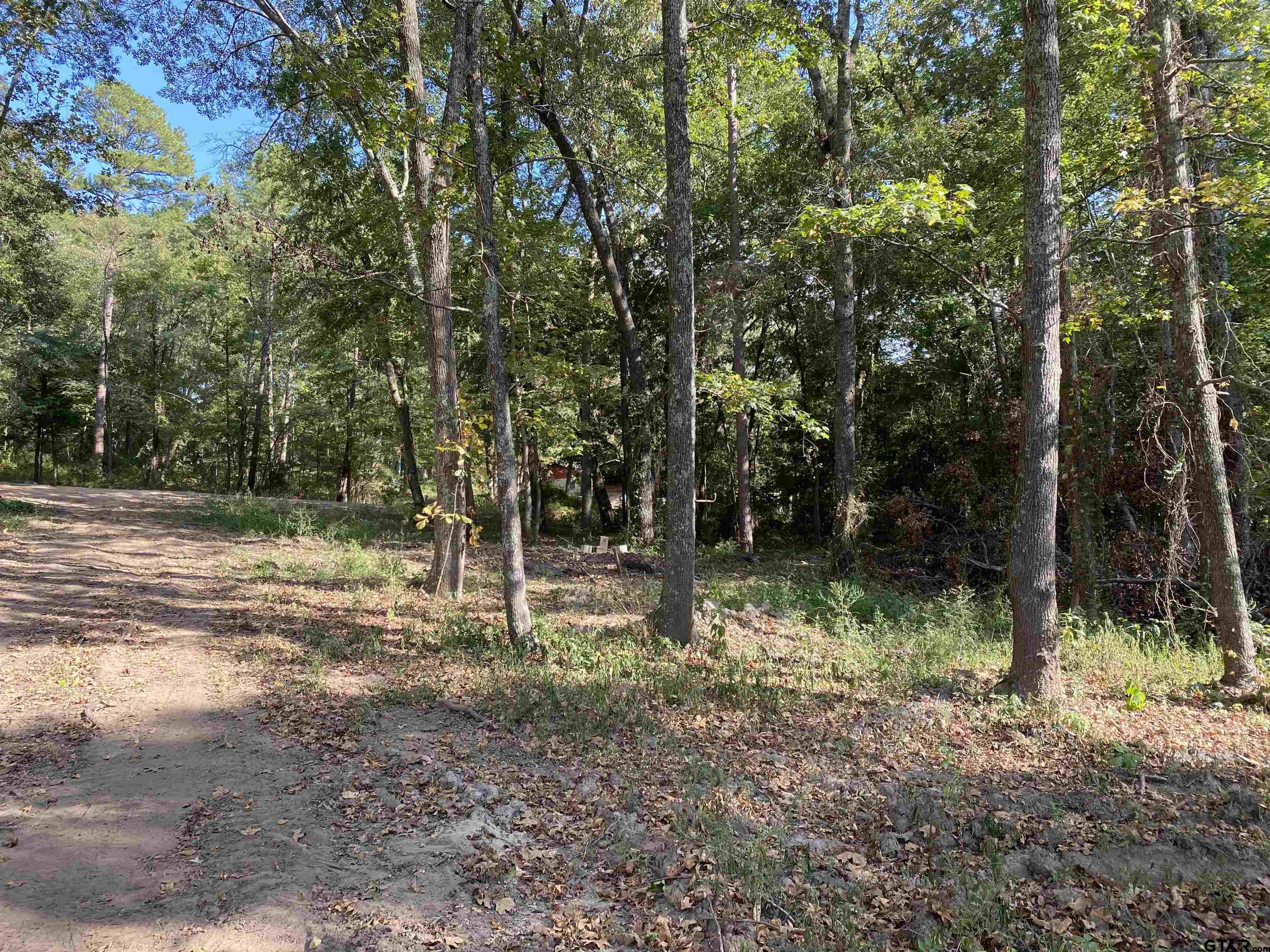 133 Sandy Lake Scroggins, Texas 75480 Price 99,000 MLS 10159712