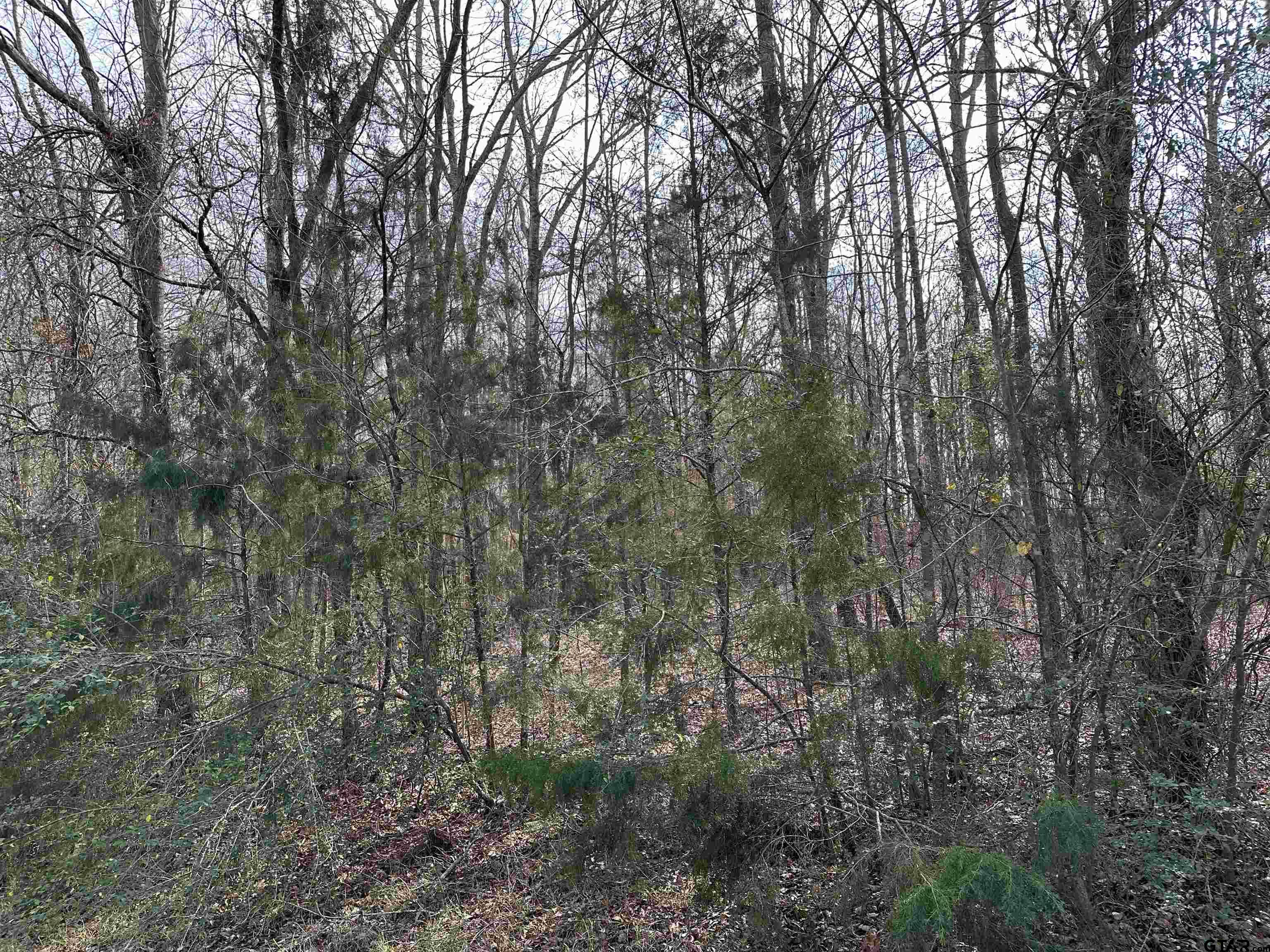 Photo for MLS Id 23000798 located at 20127 CR 2138