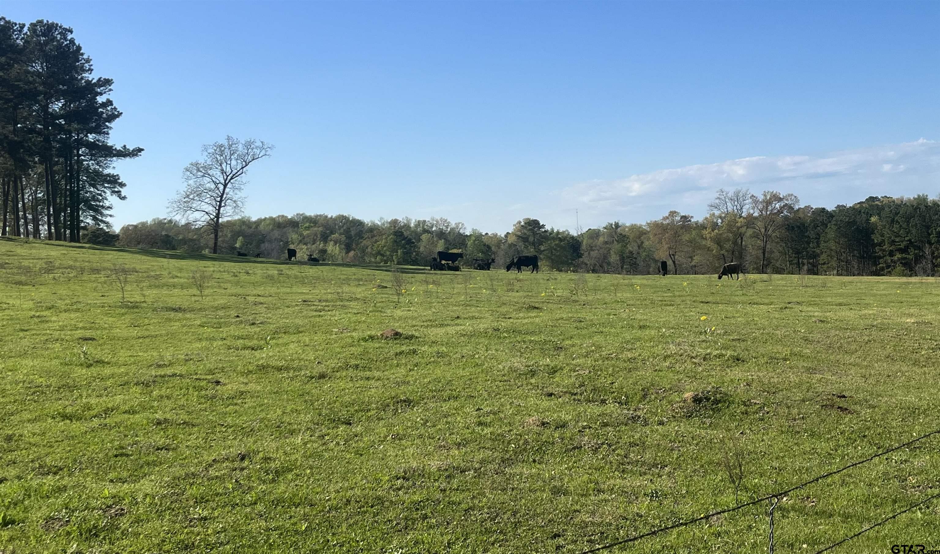 Photo for MLS Id 23001732 located at 21858,21810 CR 3211