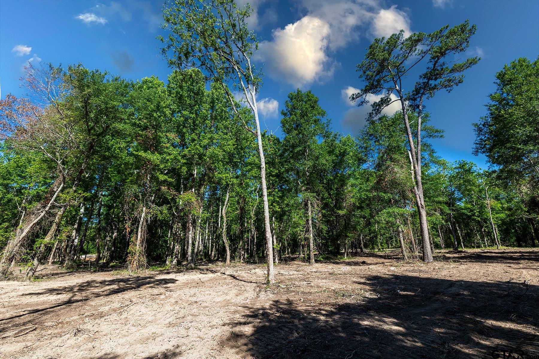 3160 FM 346 (Lot 4), Bullard, Texas 75757, ,Residential,For Sale,FM 346 (Lot 4),23002681