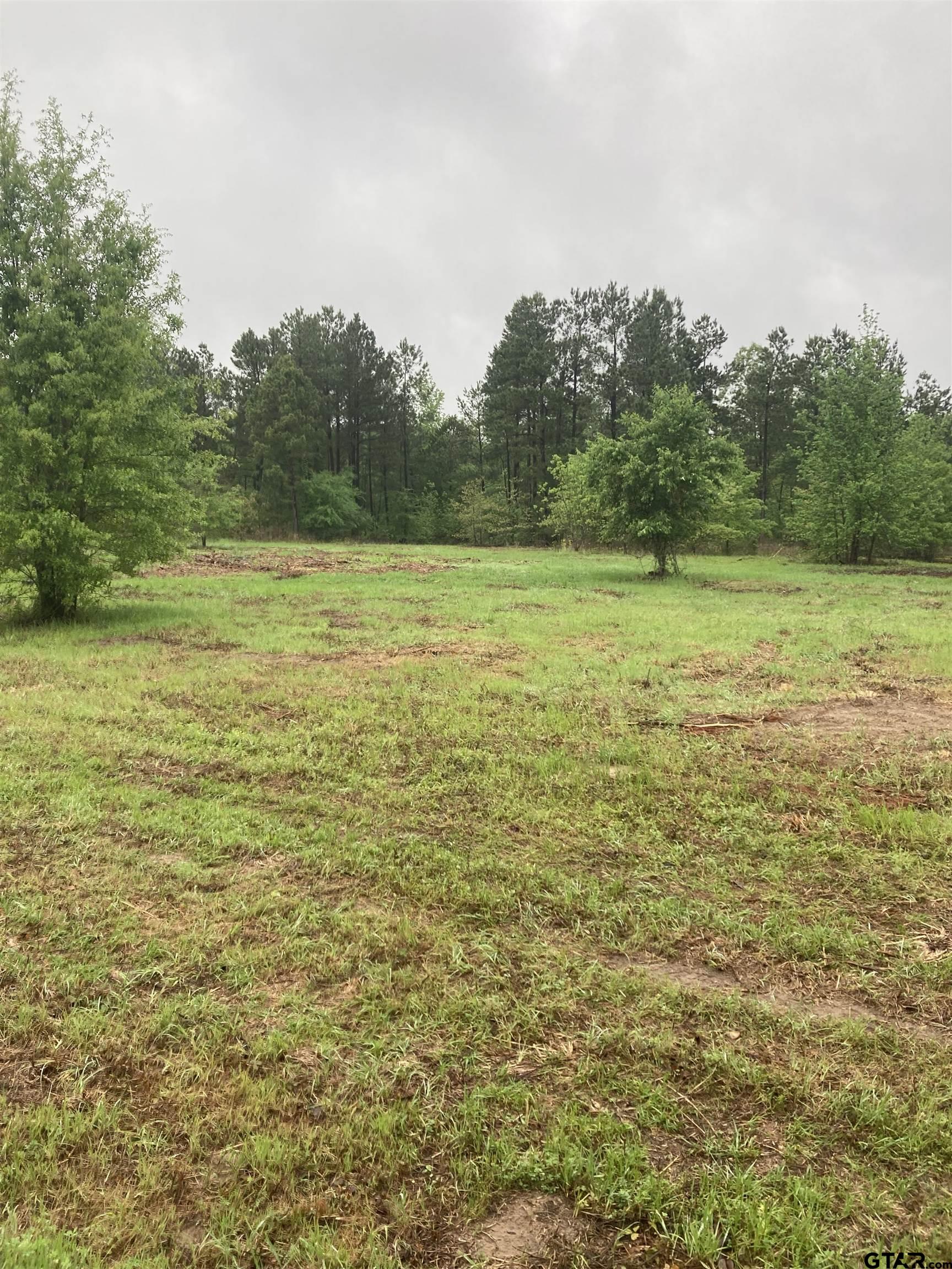 23129 CR 244 Tract 2, Overton, Texas 75684, ,Rural Acreage,For Sale,CR 244 Tract 2,23004355